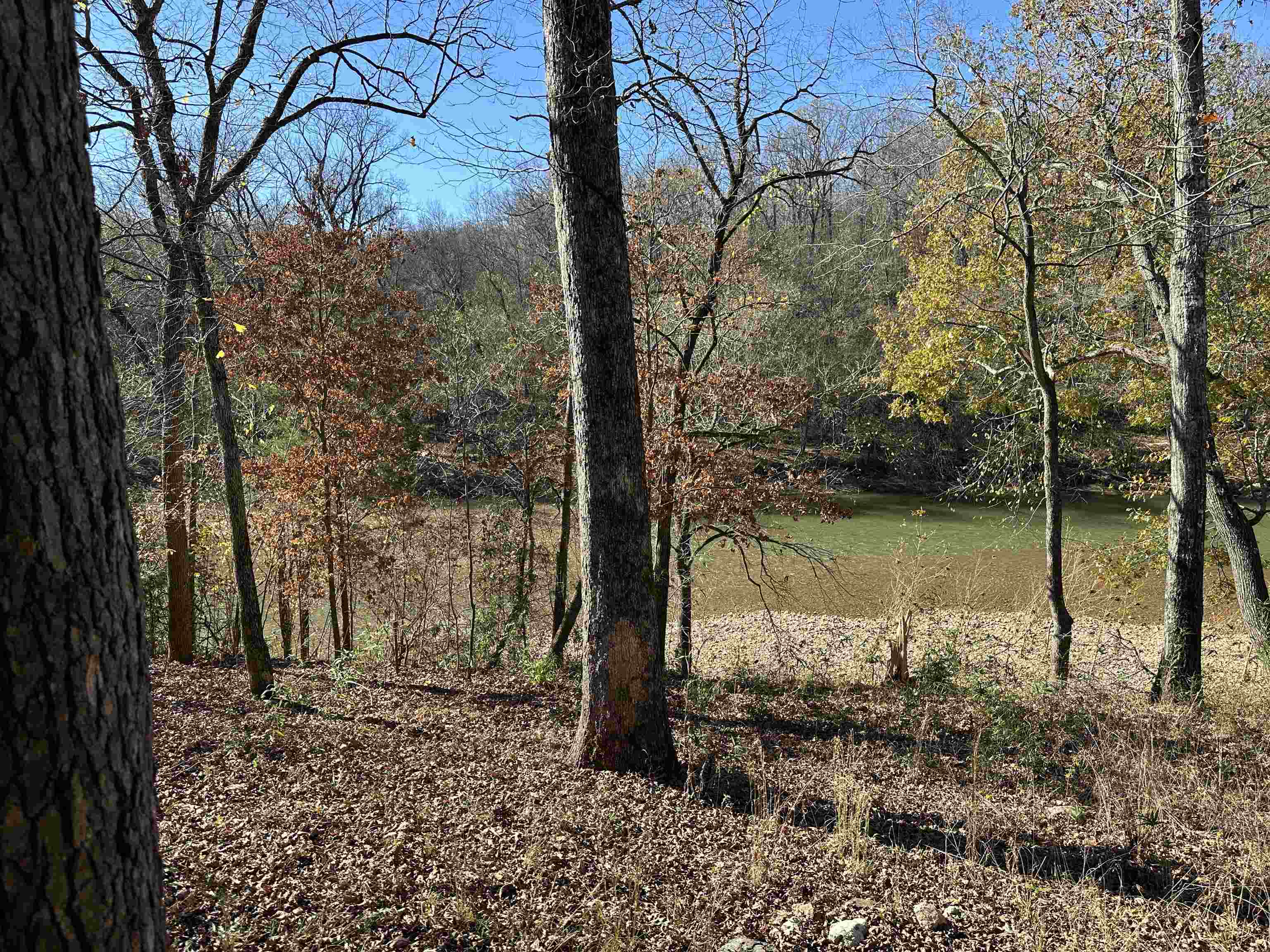 81 Butterfly Lane Flippin, AR 72634
