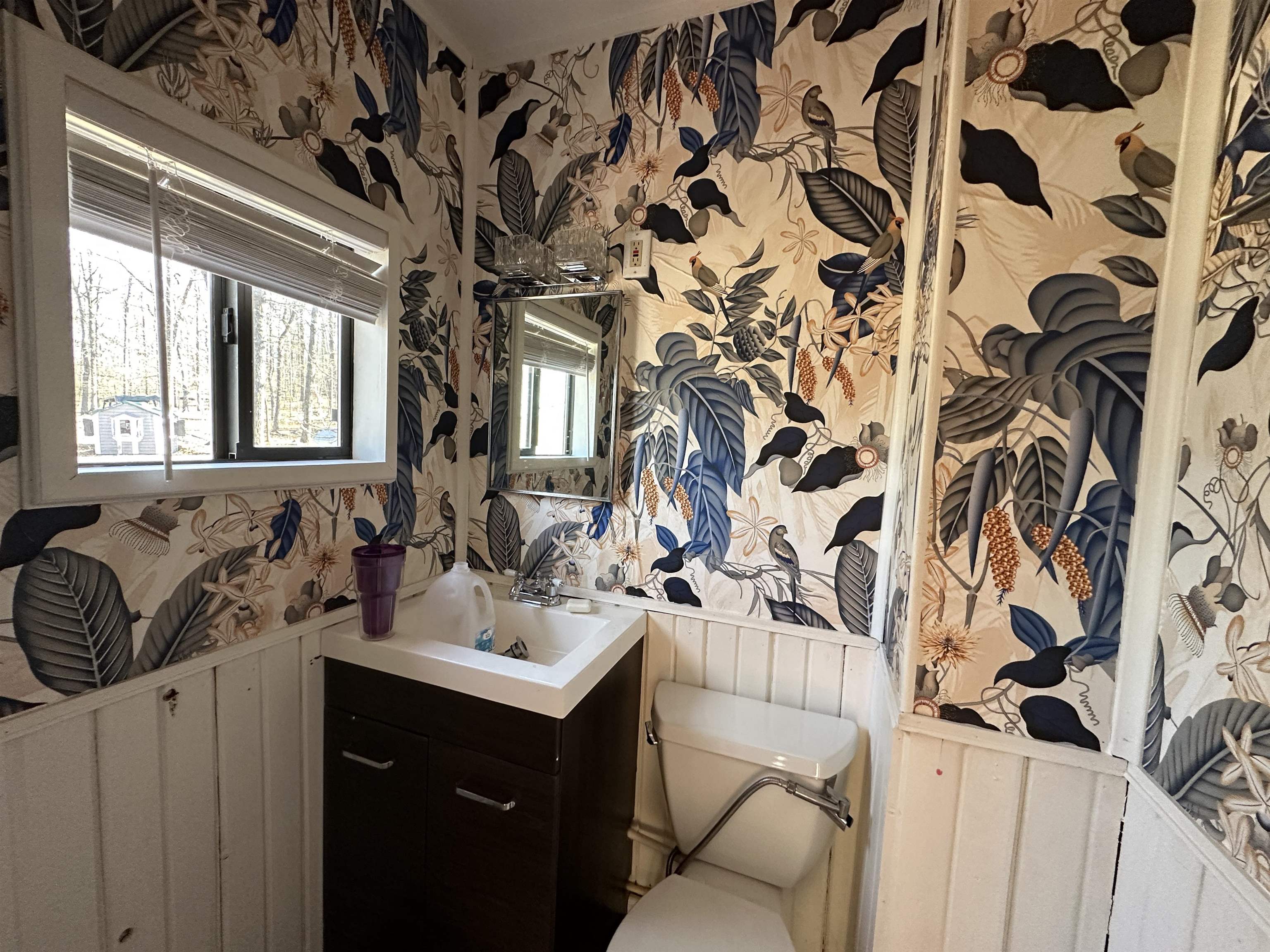 81 Butterfly Lane Flippin, AR 72634