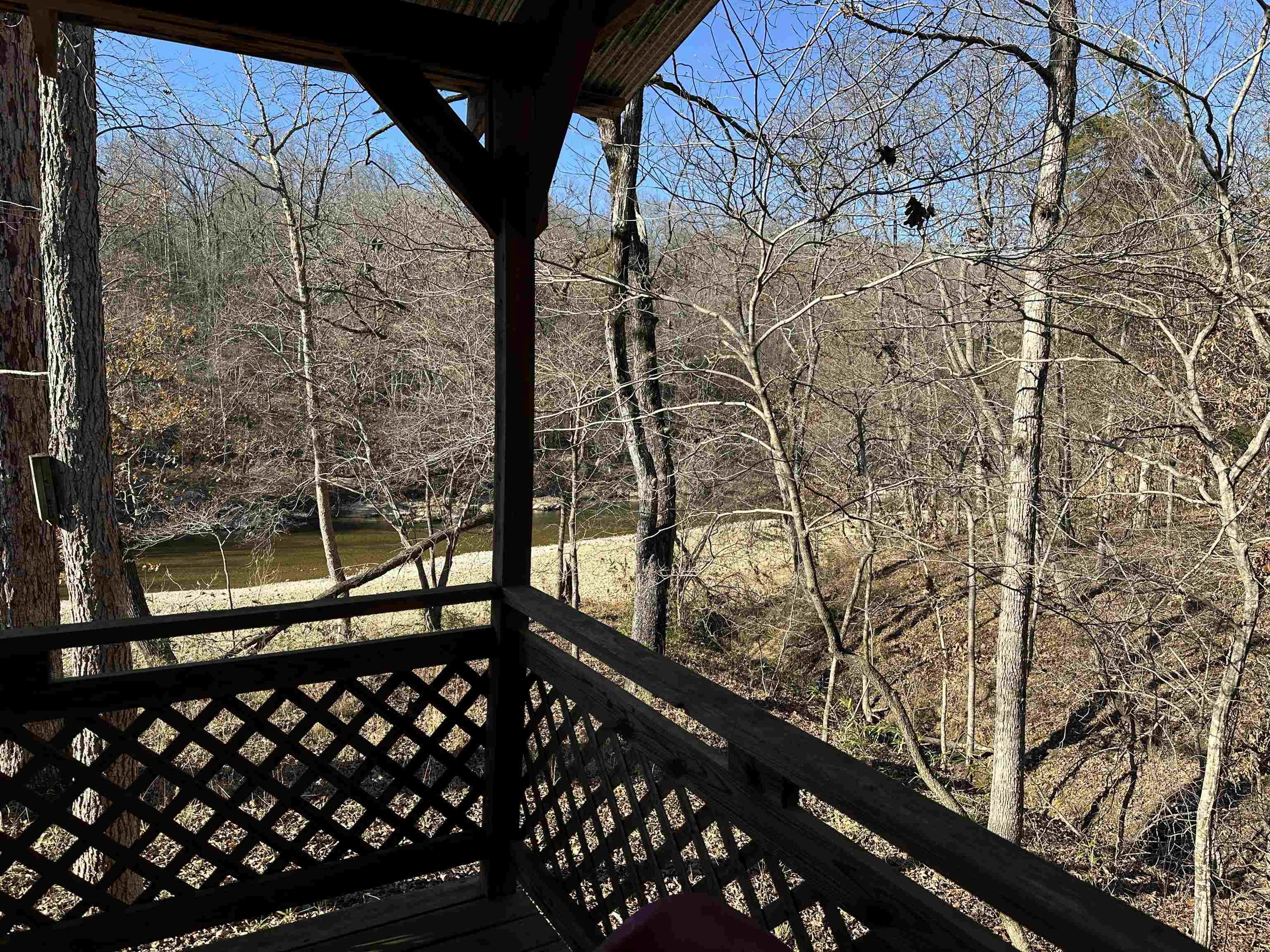 81 Butterfly Lane Flippin, AR 72634