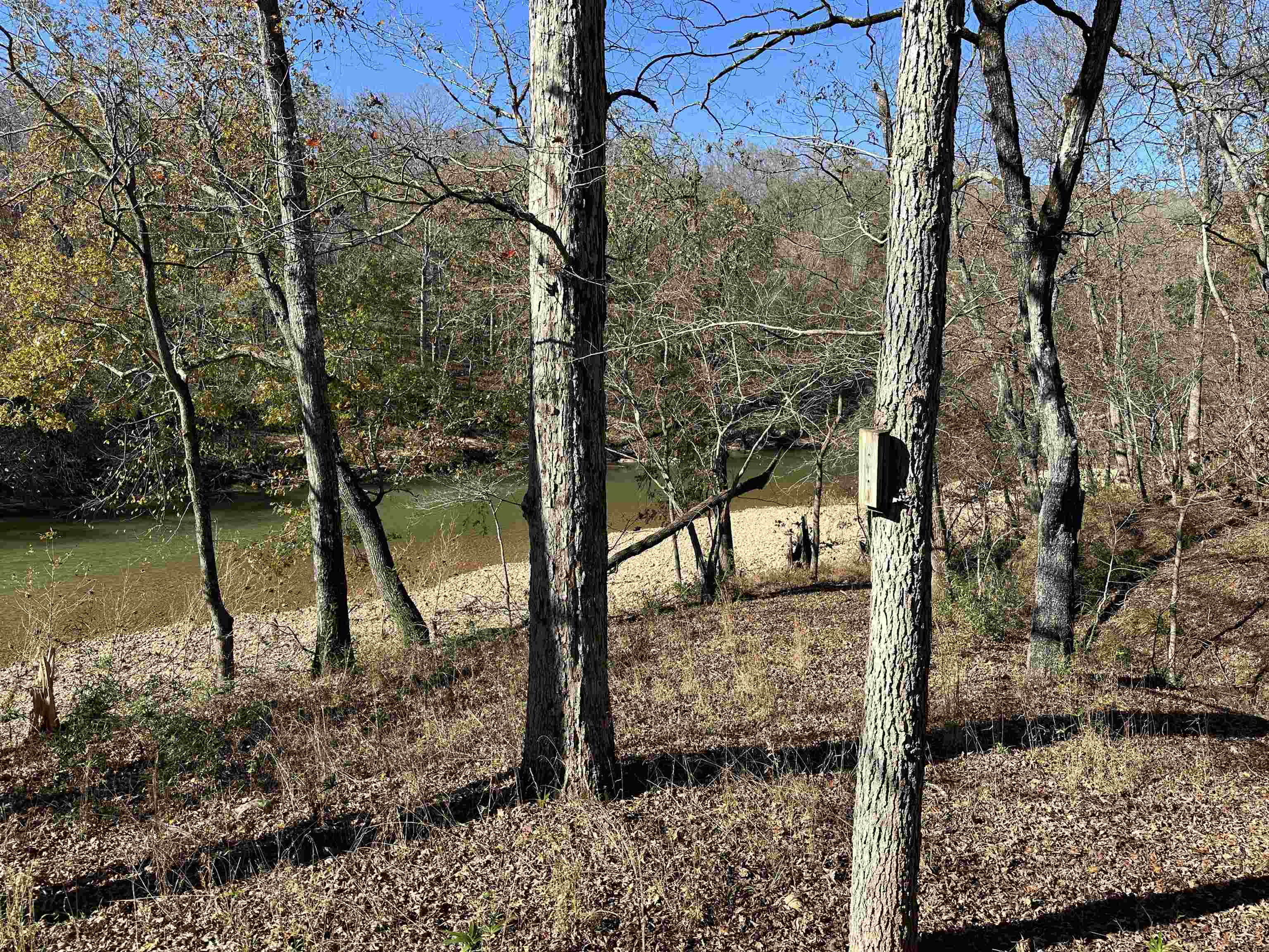 81 Butterfly Lane Flippin, AR 72634