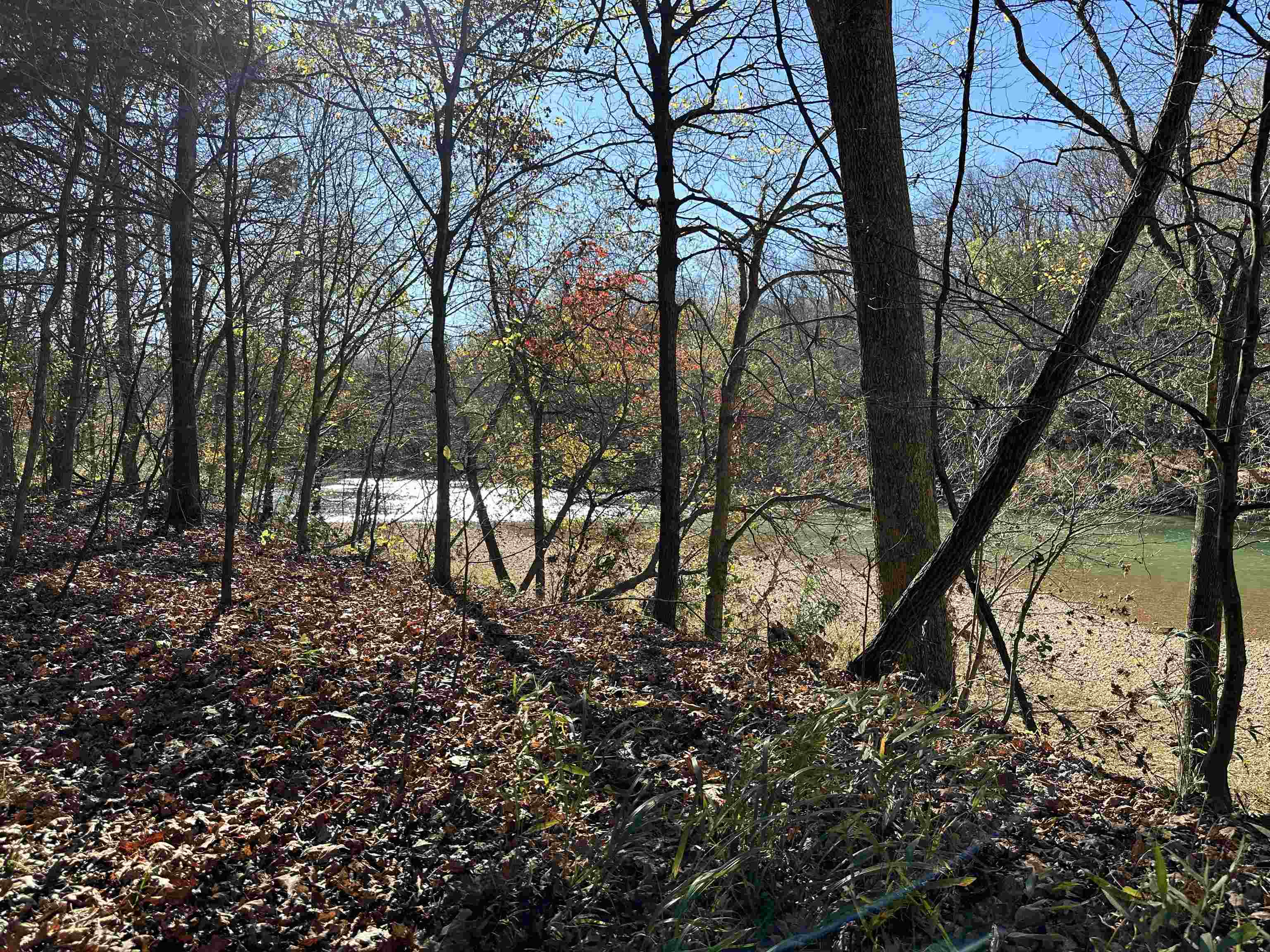 81 Butterfly Lane Flippin, AR 72634