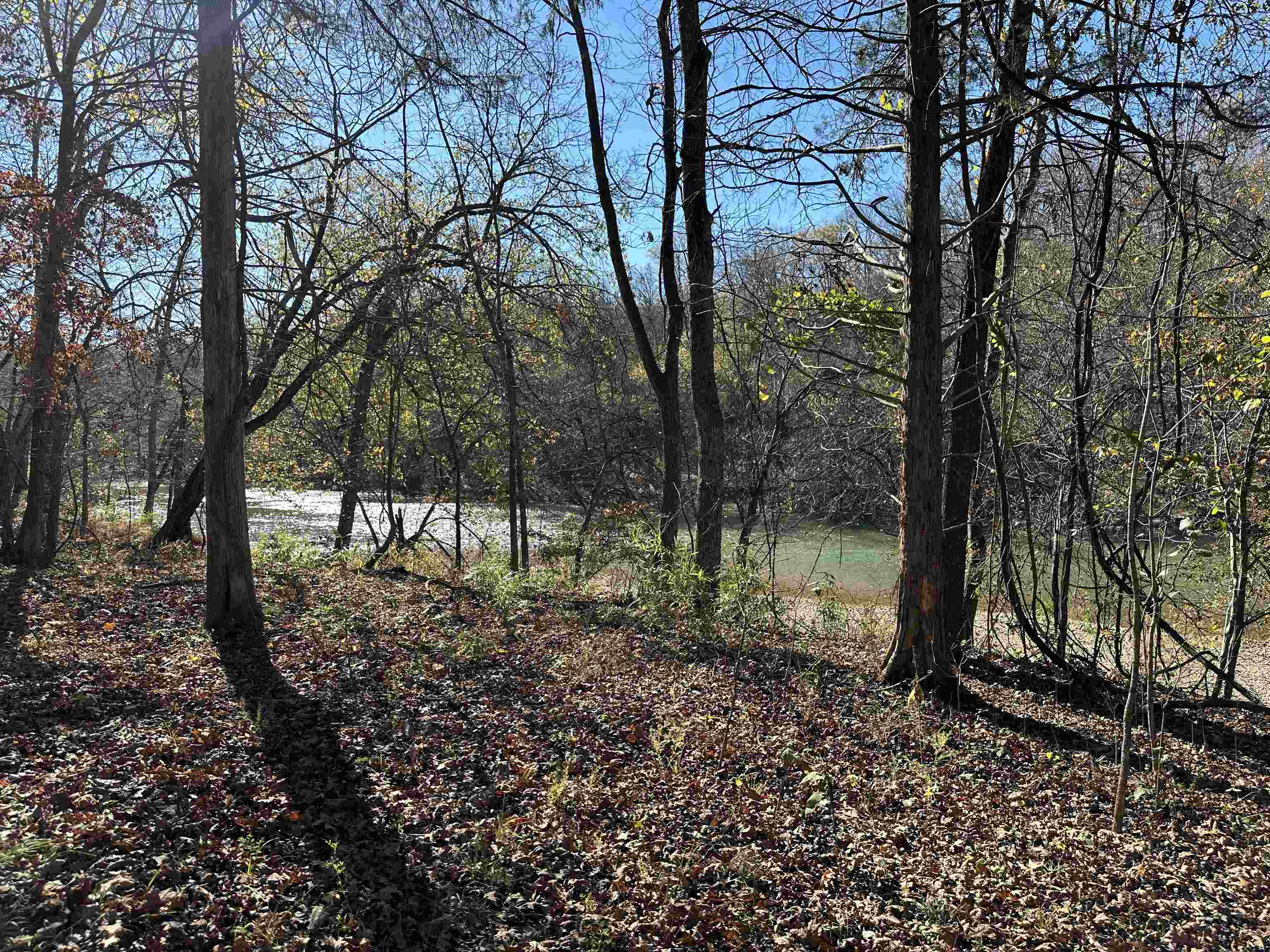81 Butterfly Lane Flippin, AR 72634