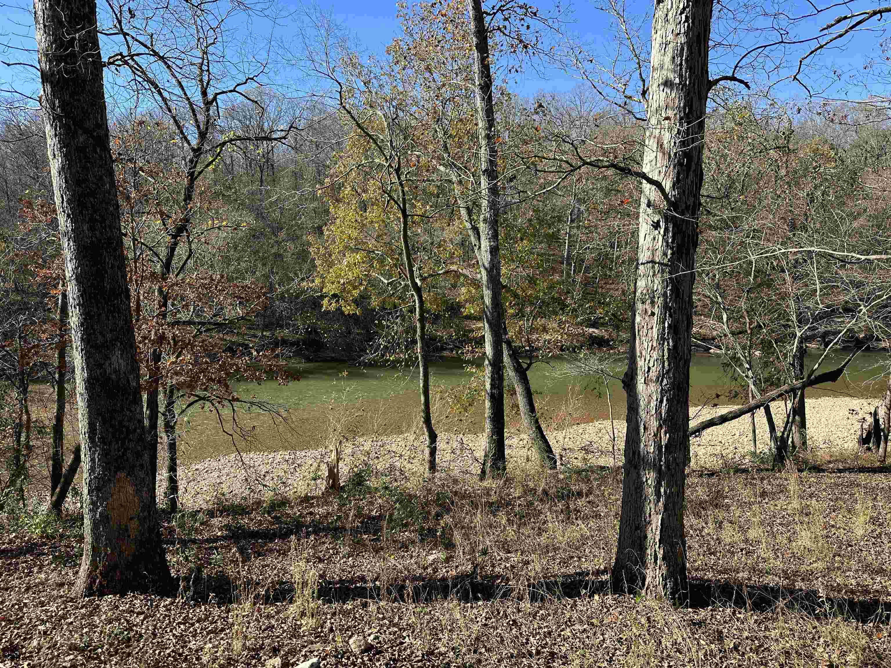 81 Butterfly Lane Flippin, AR 72634