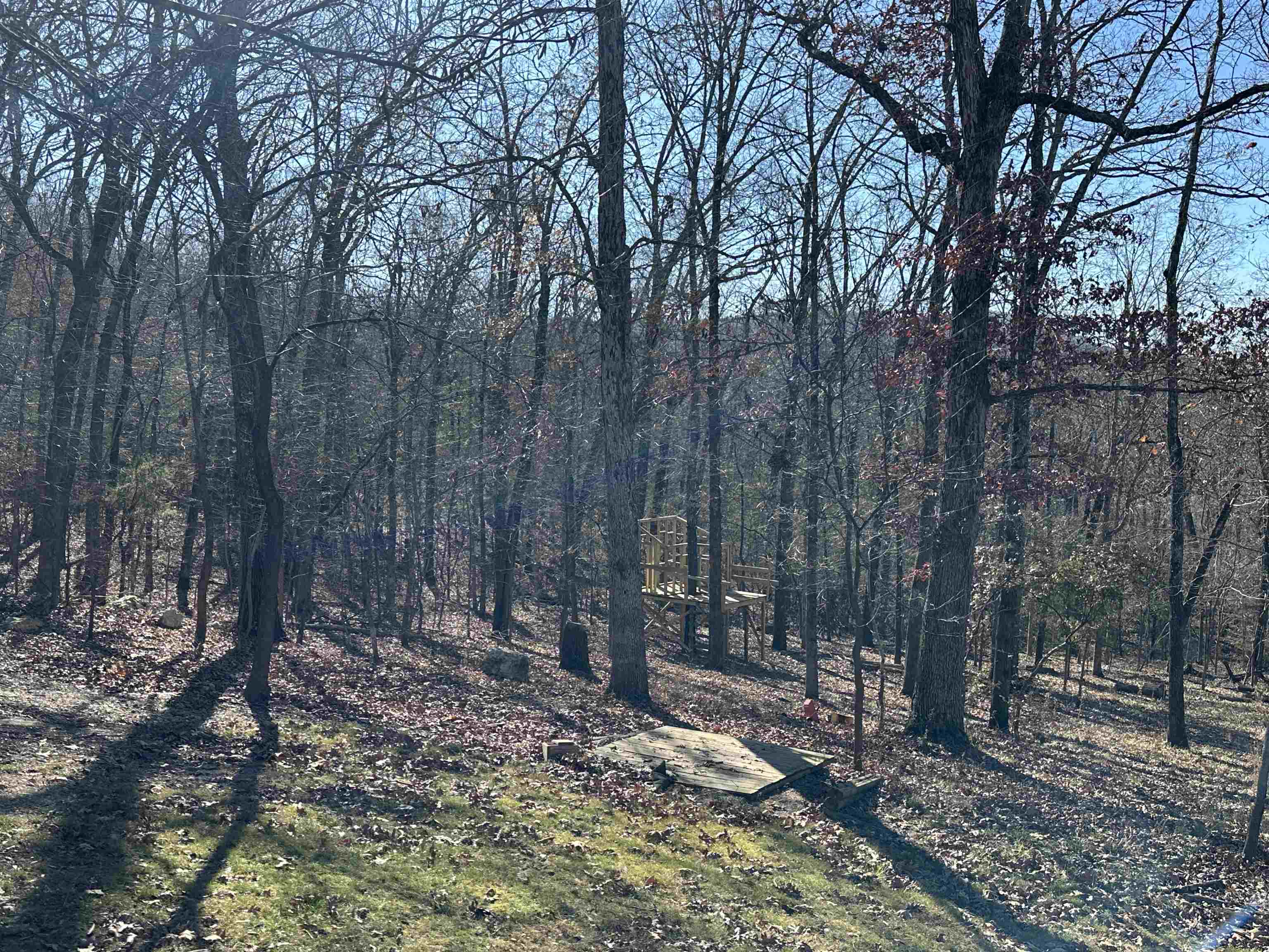 81 Butterfly Lane Flippin, AR 72634