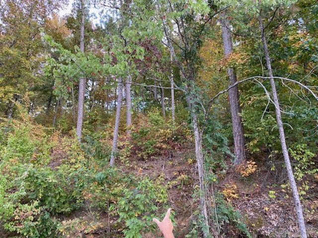 Lot 30  Stonegate  Hot Springs, AR