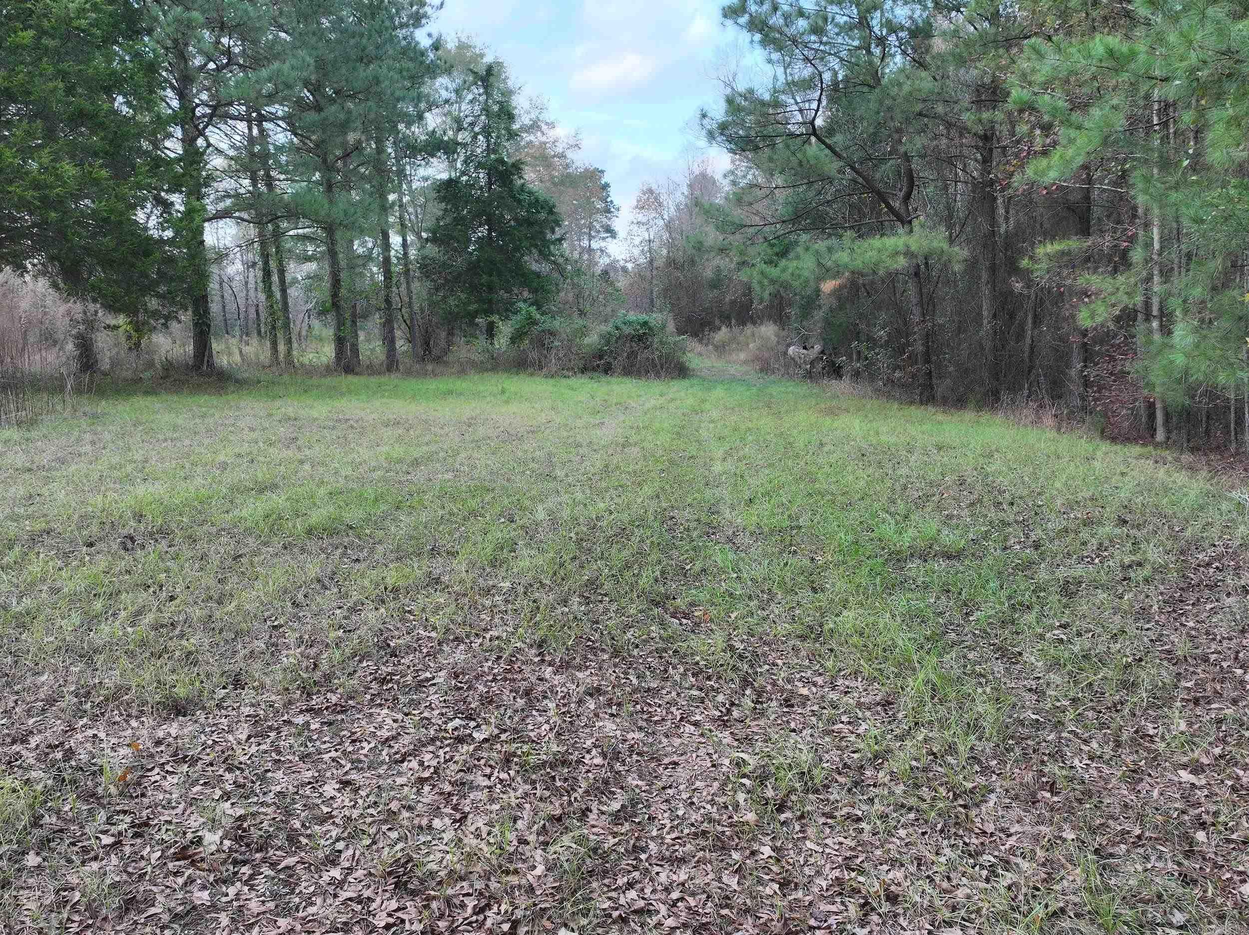 718  Southfork  Gurdon, AR