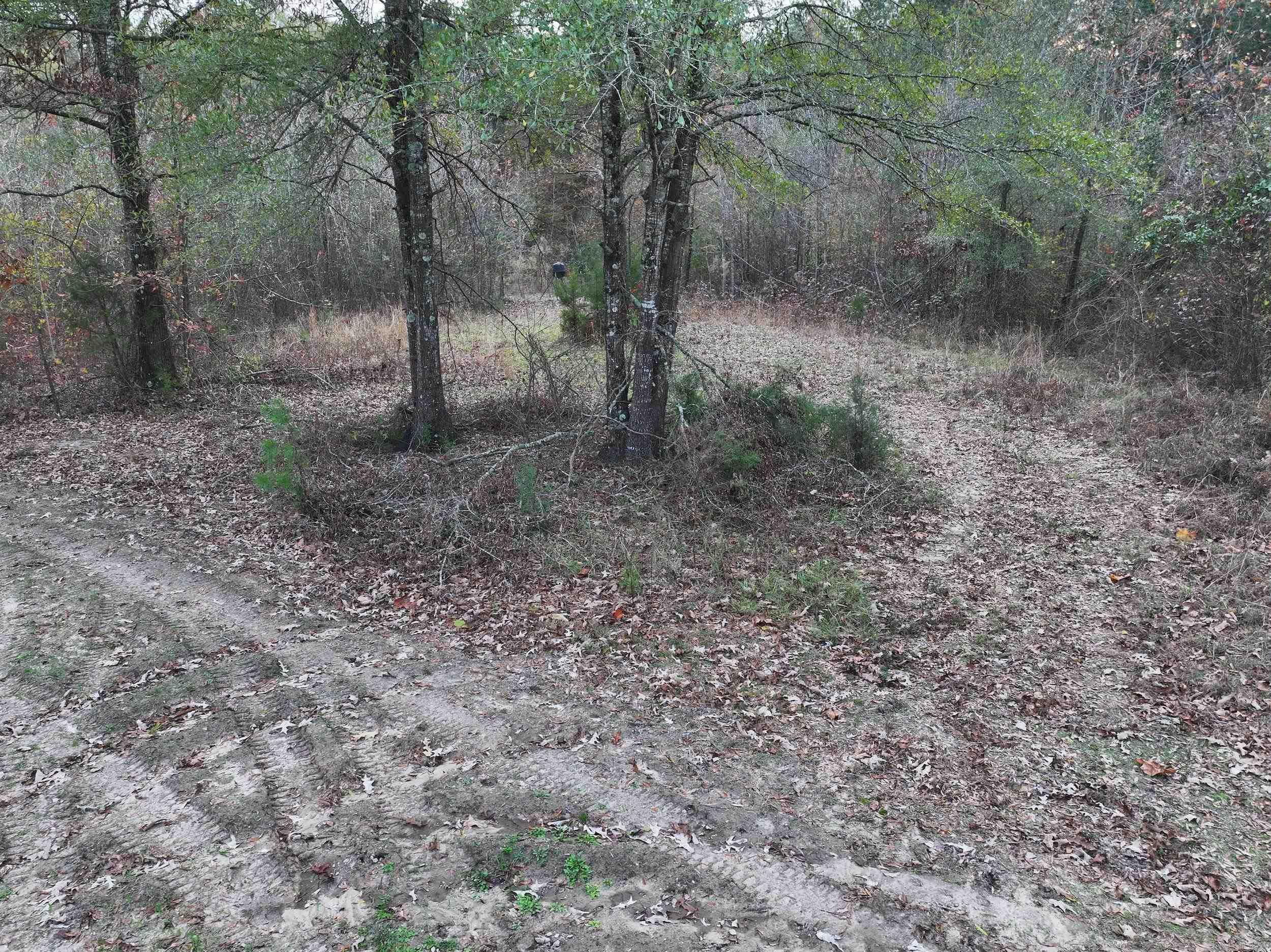 718  Southfork  Gurdon, AR