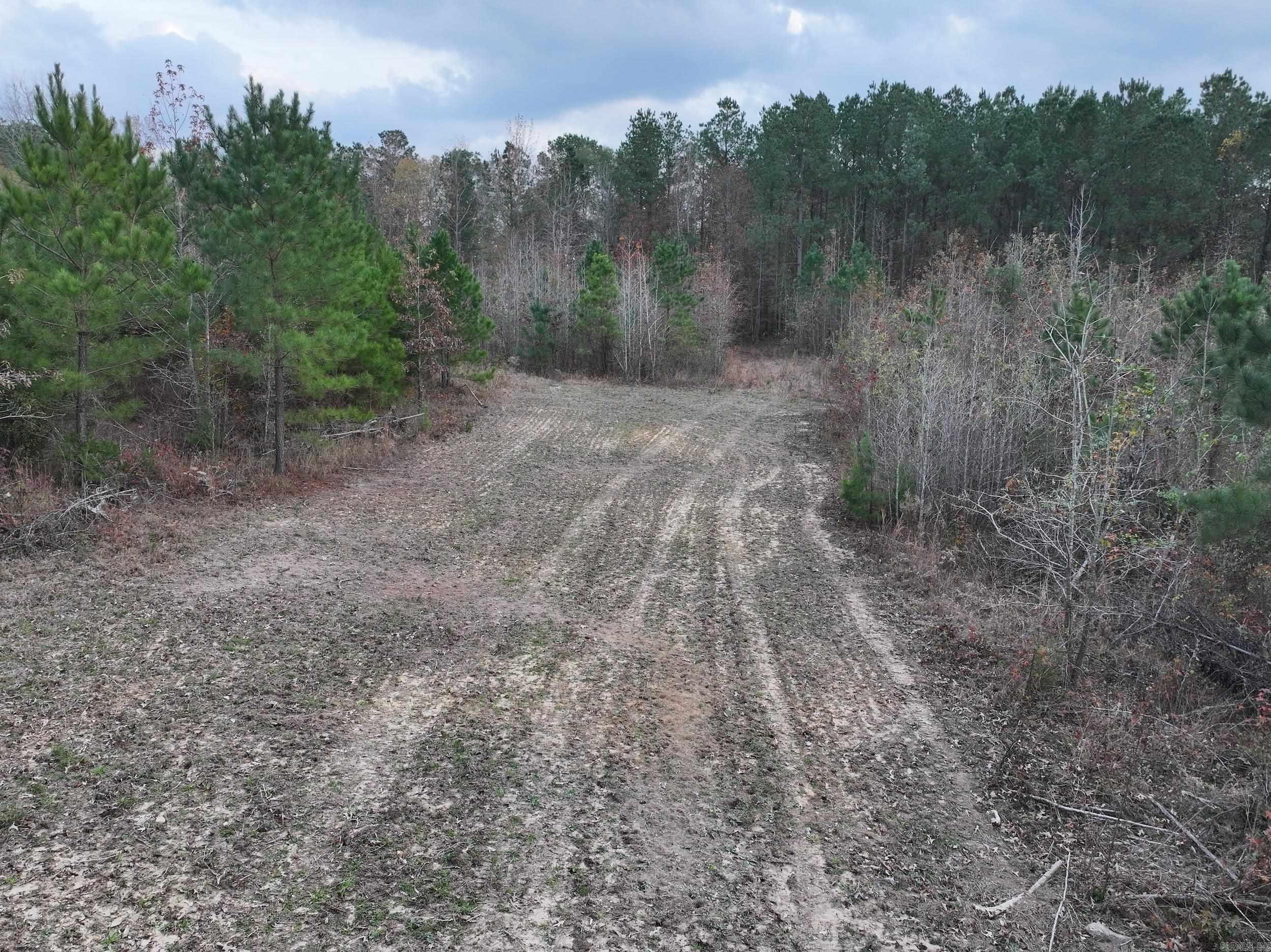 718  Southfork  Gurdon, AR
