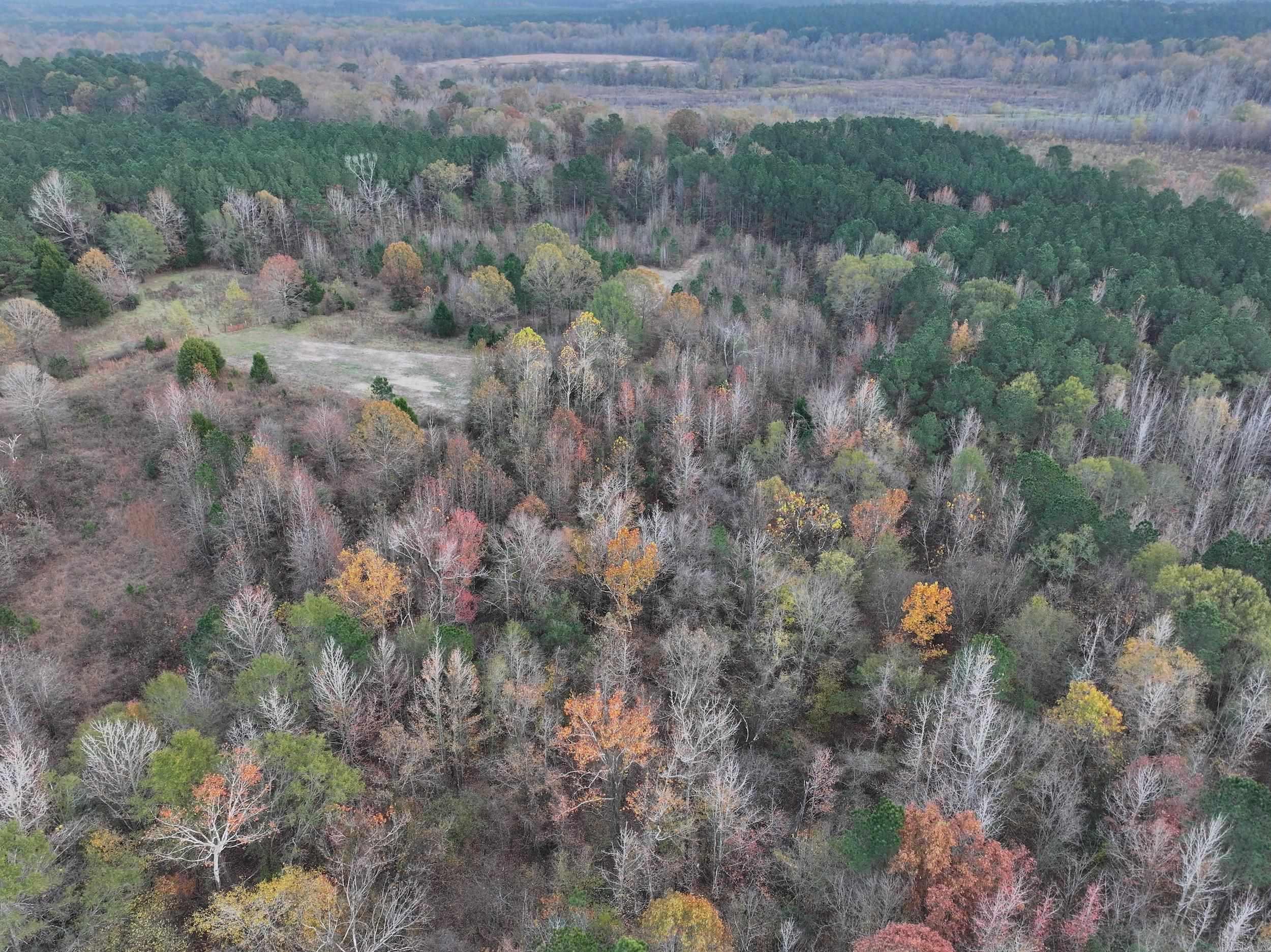 718  Southfork  Gurdon, AR