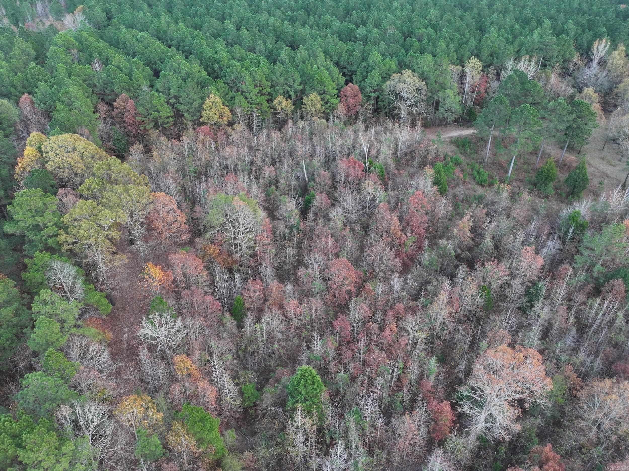 718  Southfork  Gurdon, AR