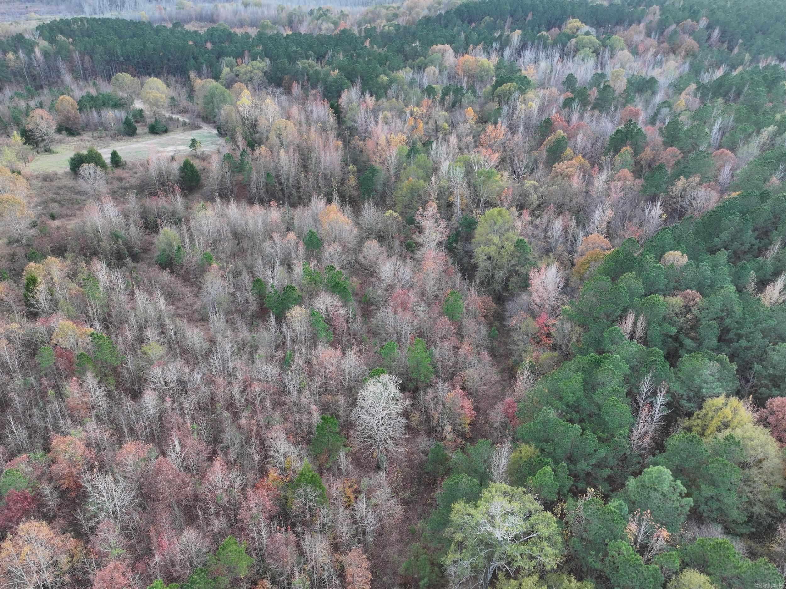 718  Southfork  Gurdon, AR