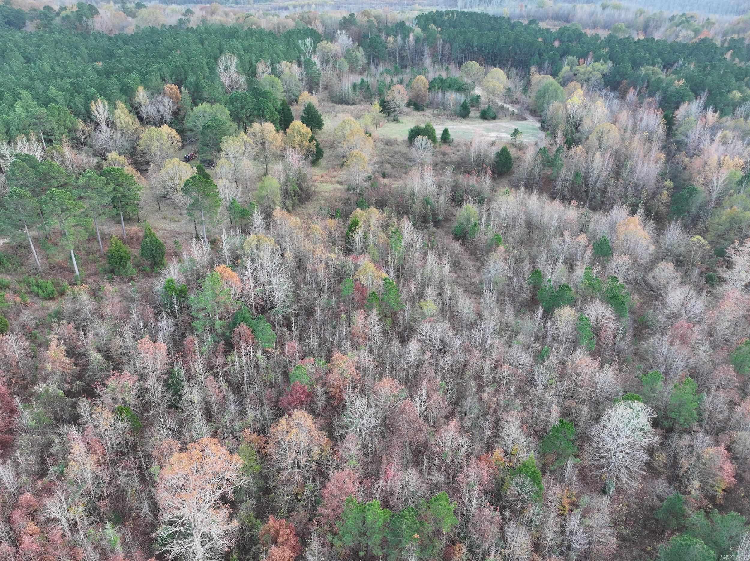 718  Southfork  Gurdon, AR