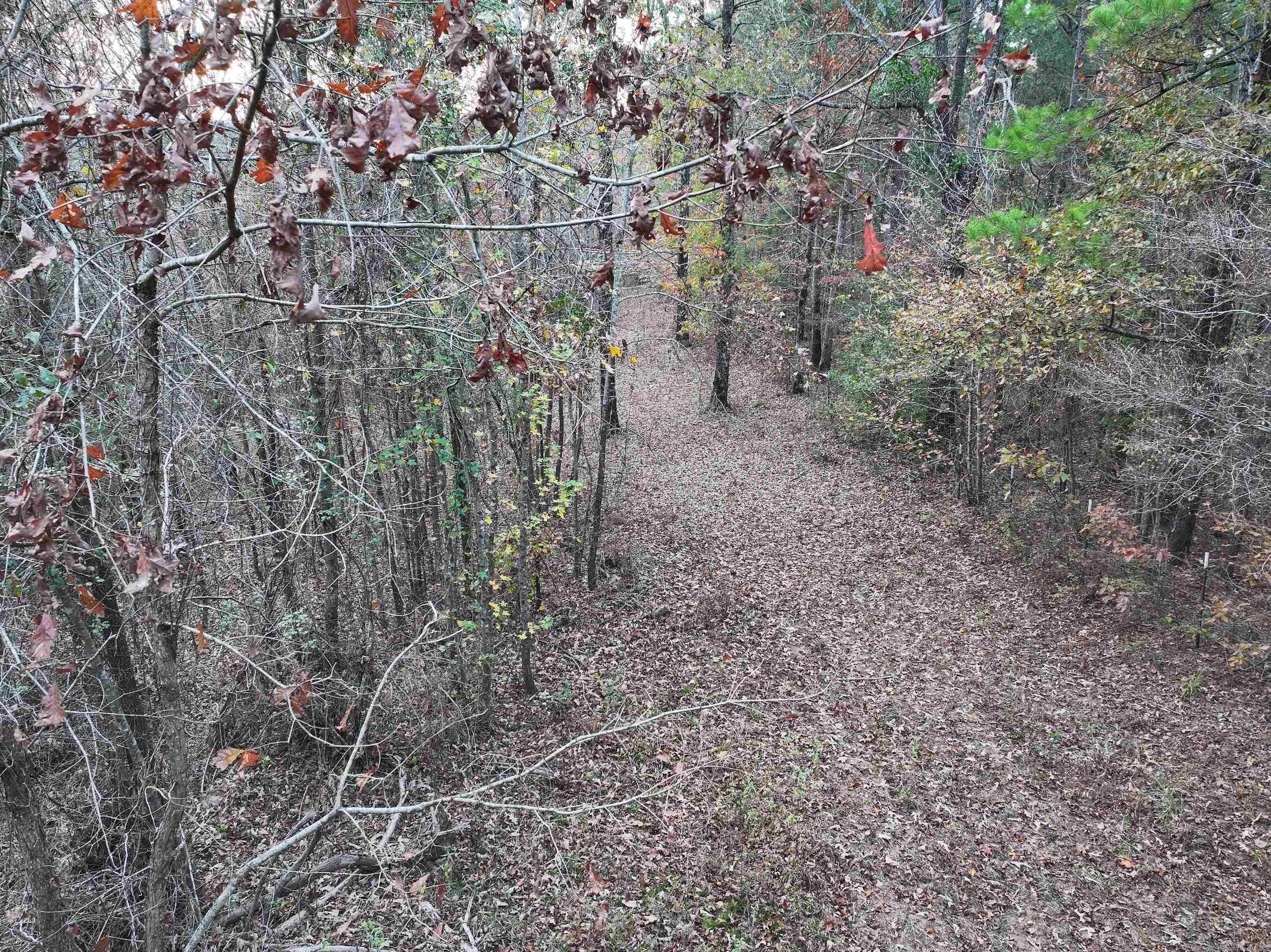 718  Southfork  Gurdon, AR