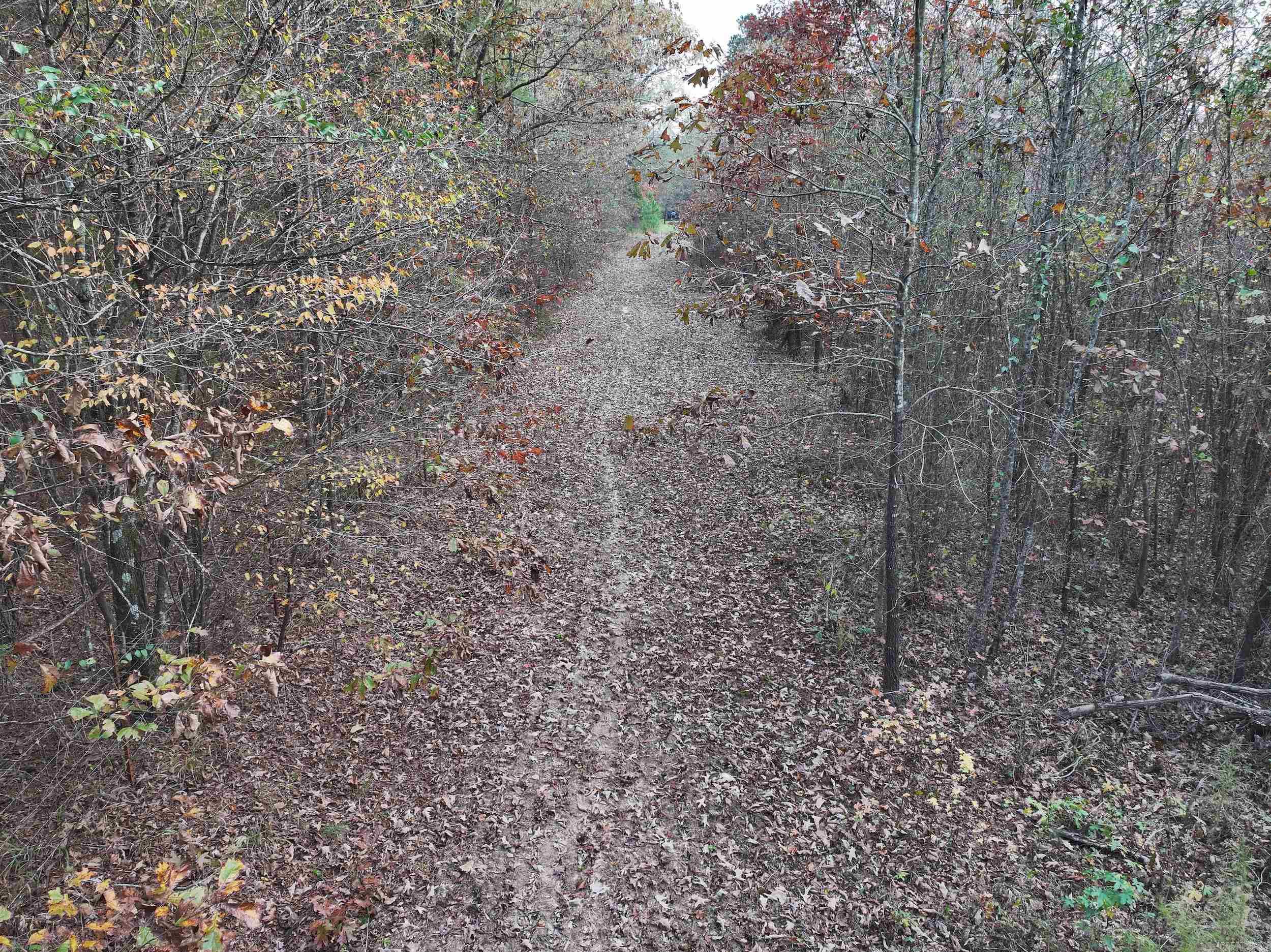718  Southfork  Gurdon, AR