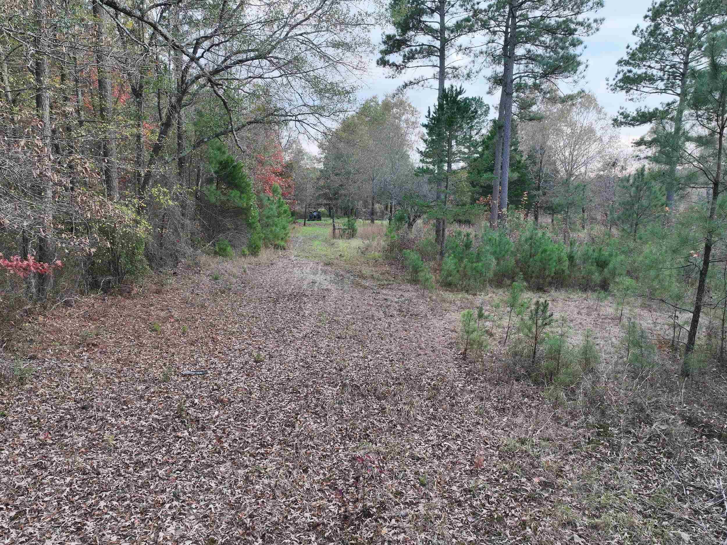 718  Southfork  Gurdon, AR