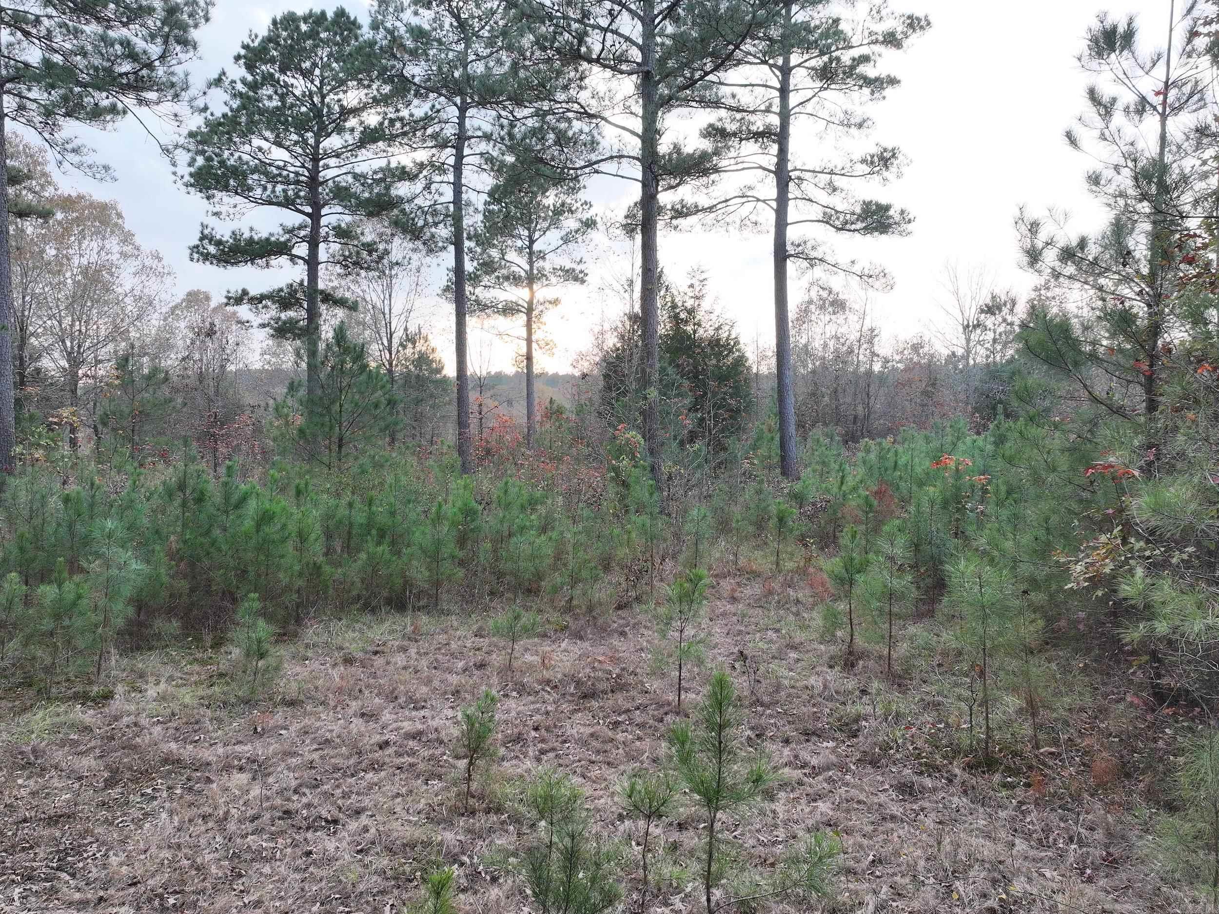 718  Southfork  Gurdon, AR