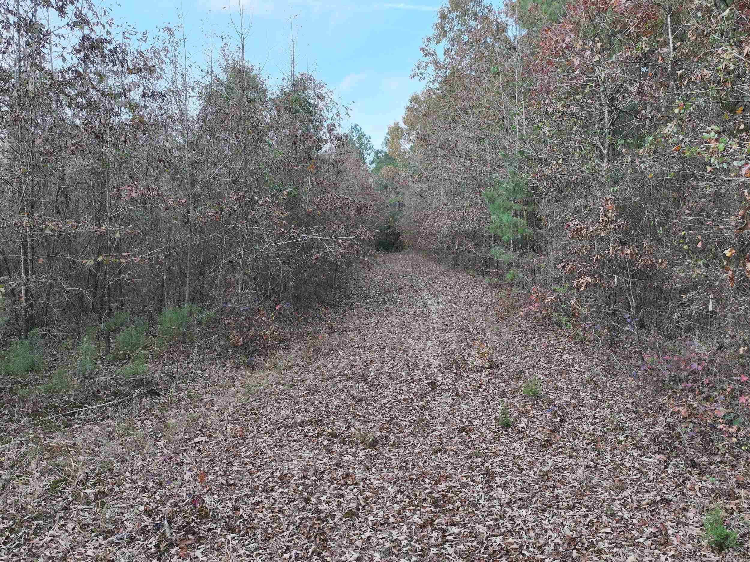718  Southfork  Gurdon, AR