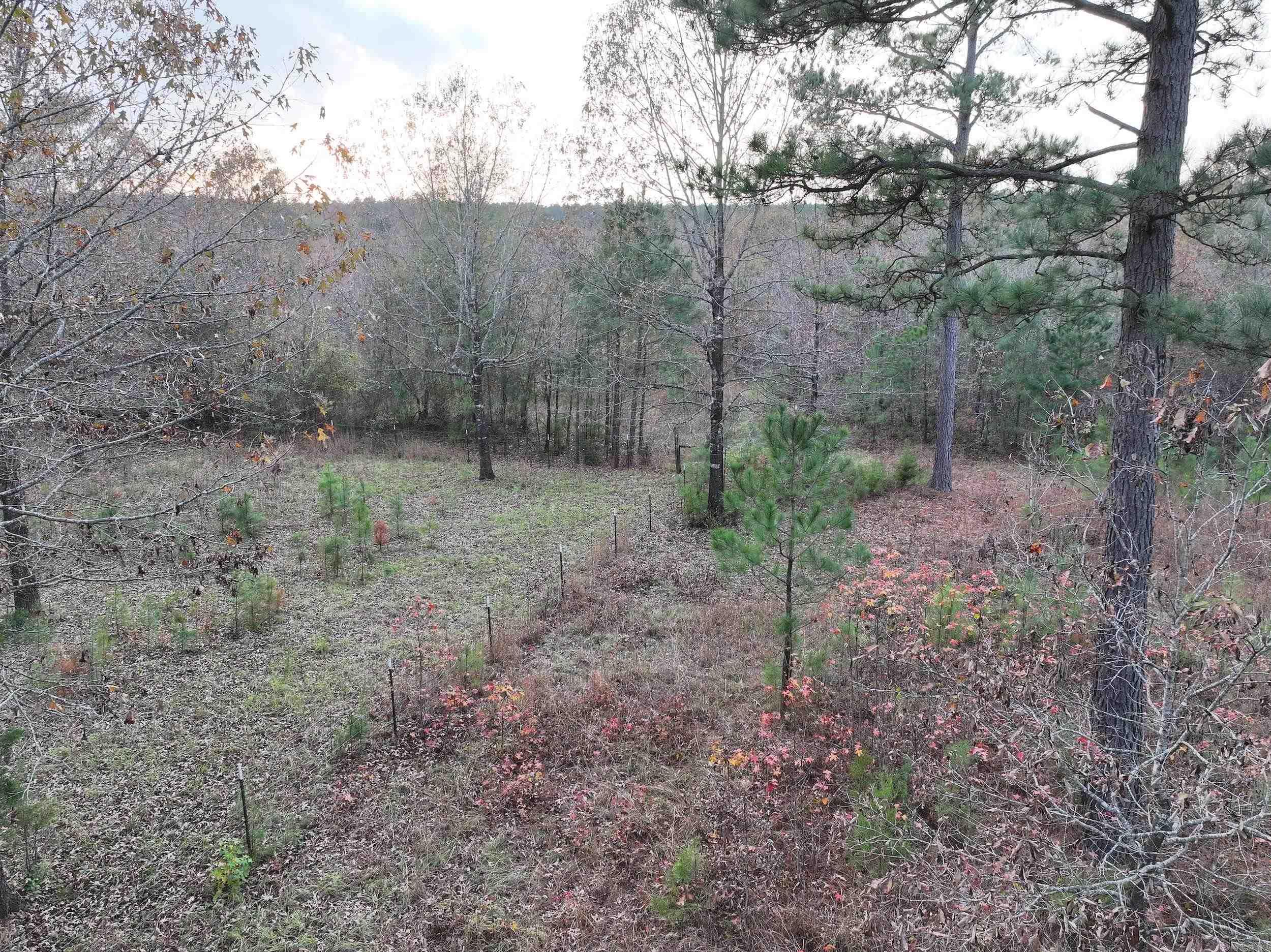 718  Southfork  Gurdon, AR