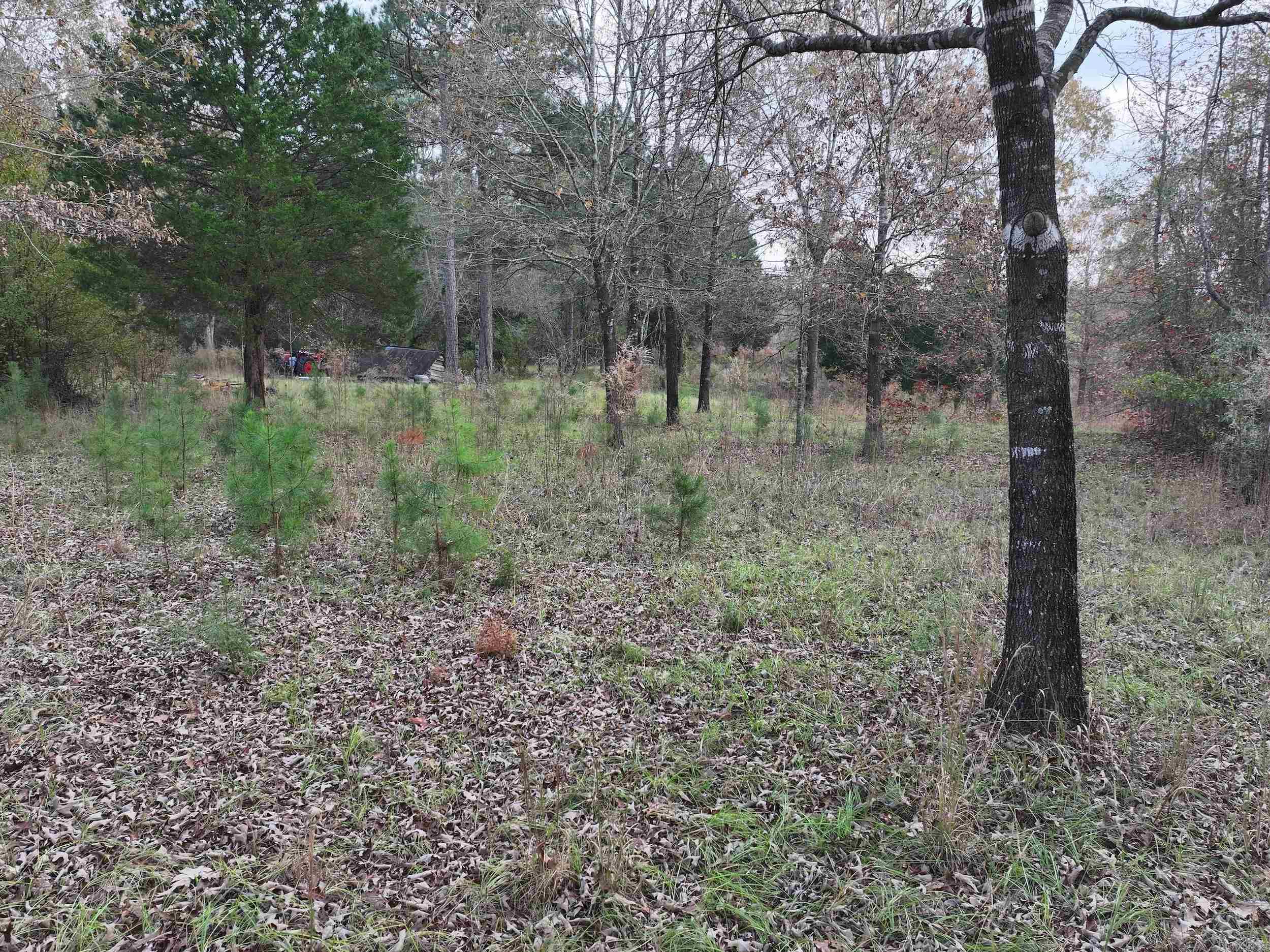 718  Southfork  Gurdon, AR