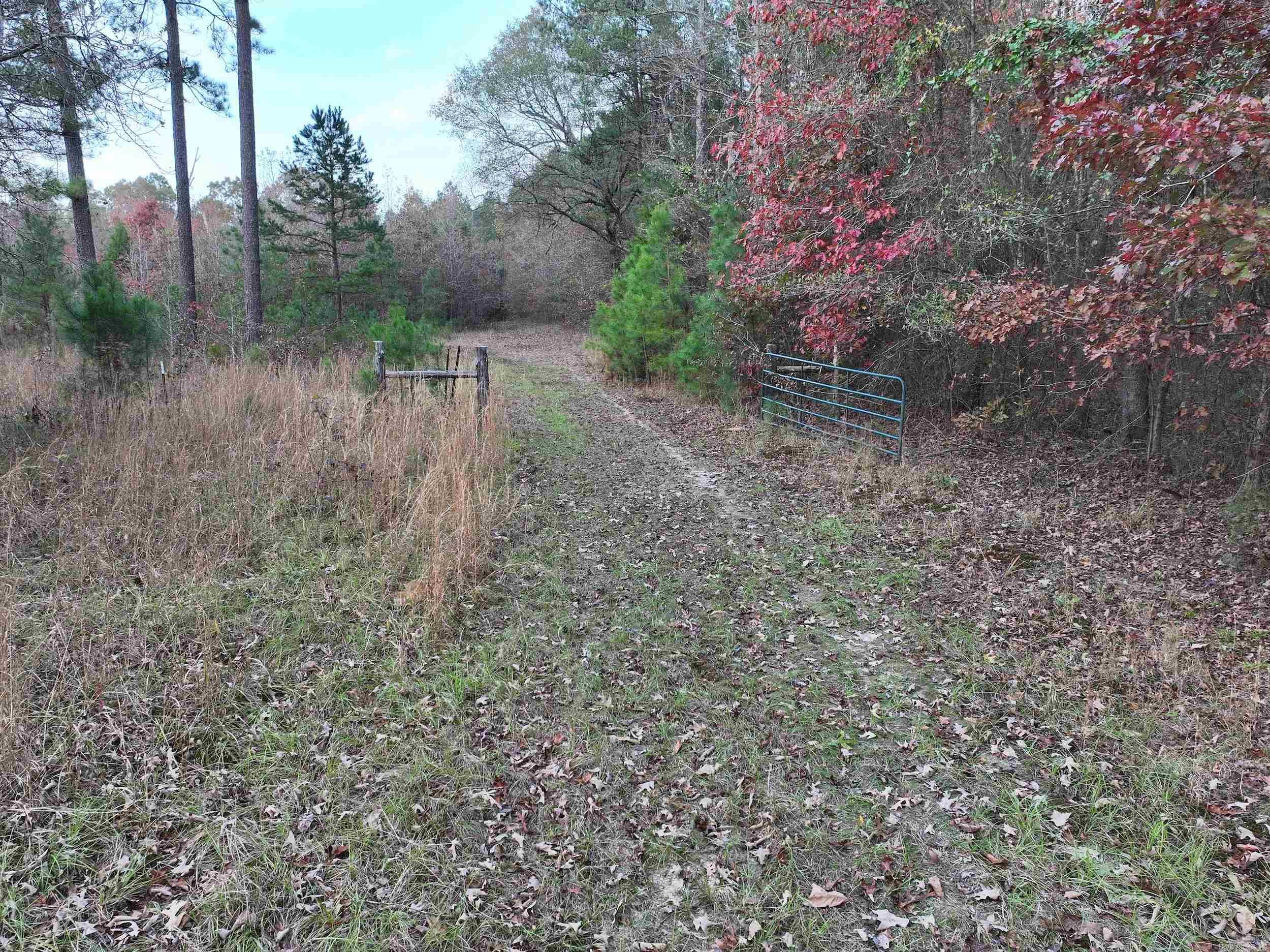 718  Southfork  Gurdon, AR