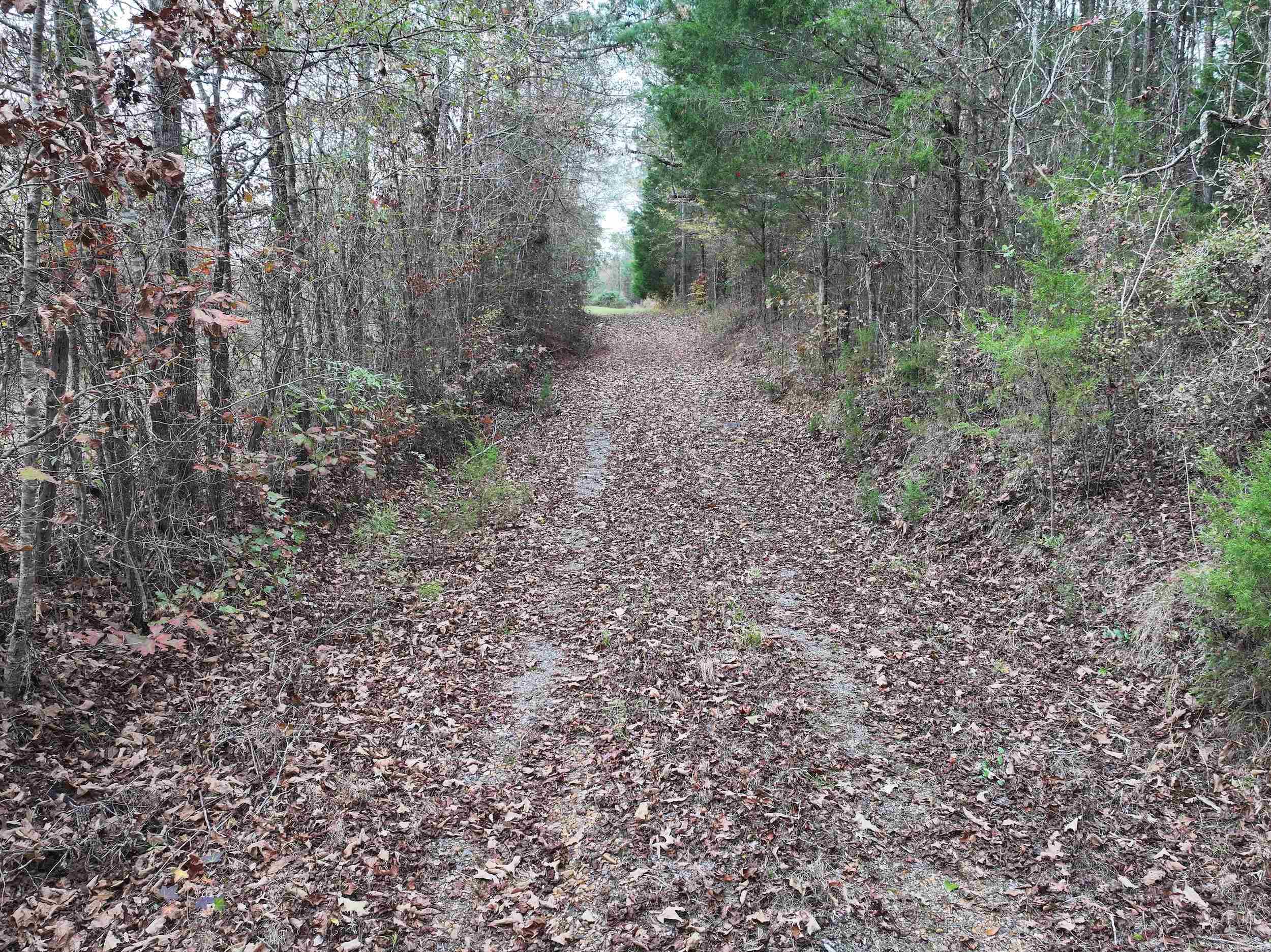 718  Southfork  Gurdon, AR
