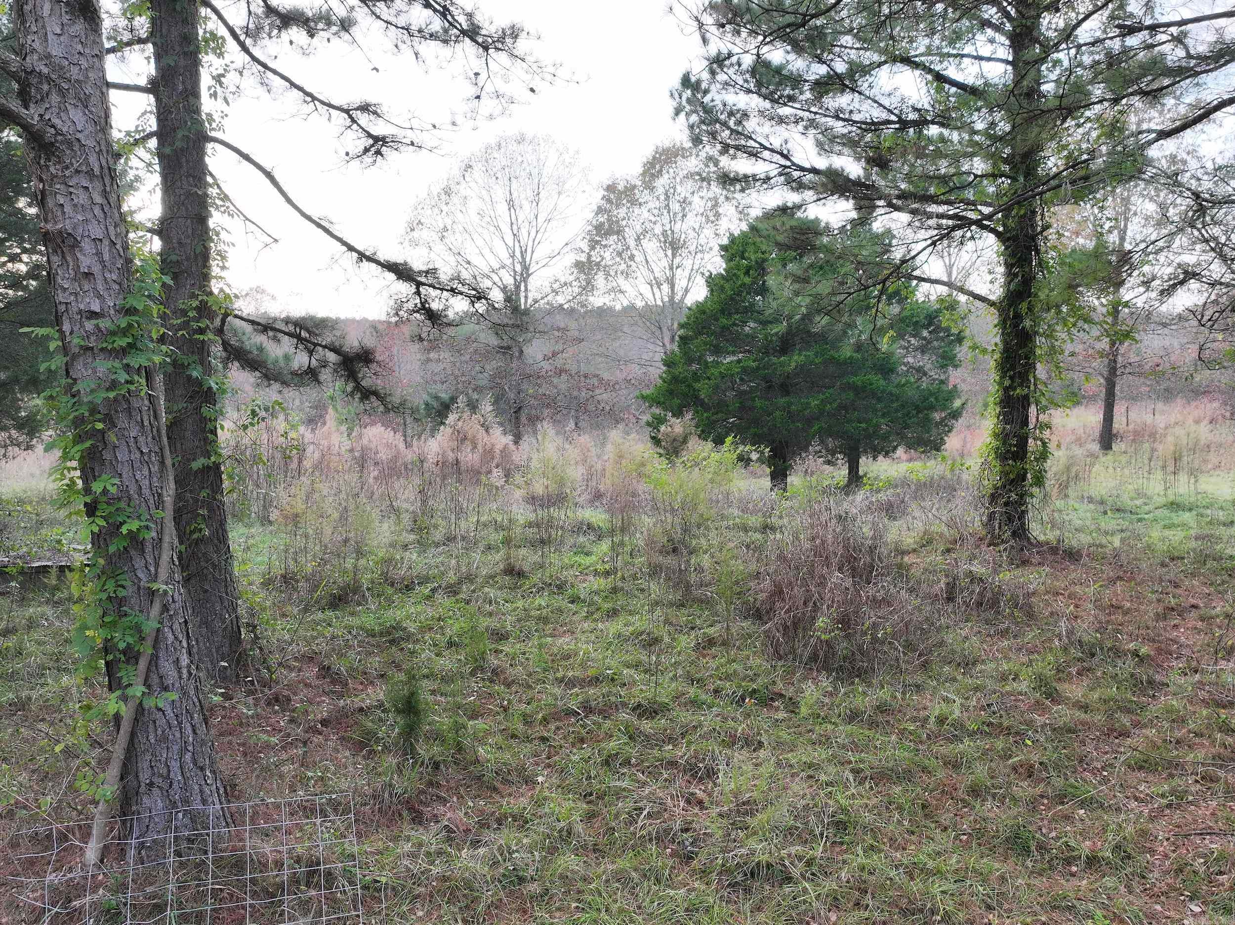 718  Southfork  Gurdon, AR