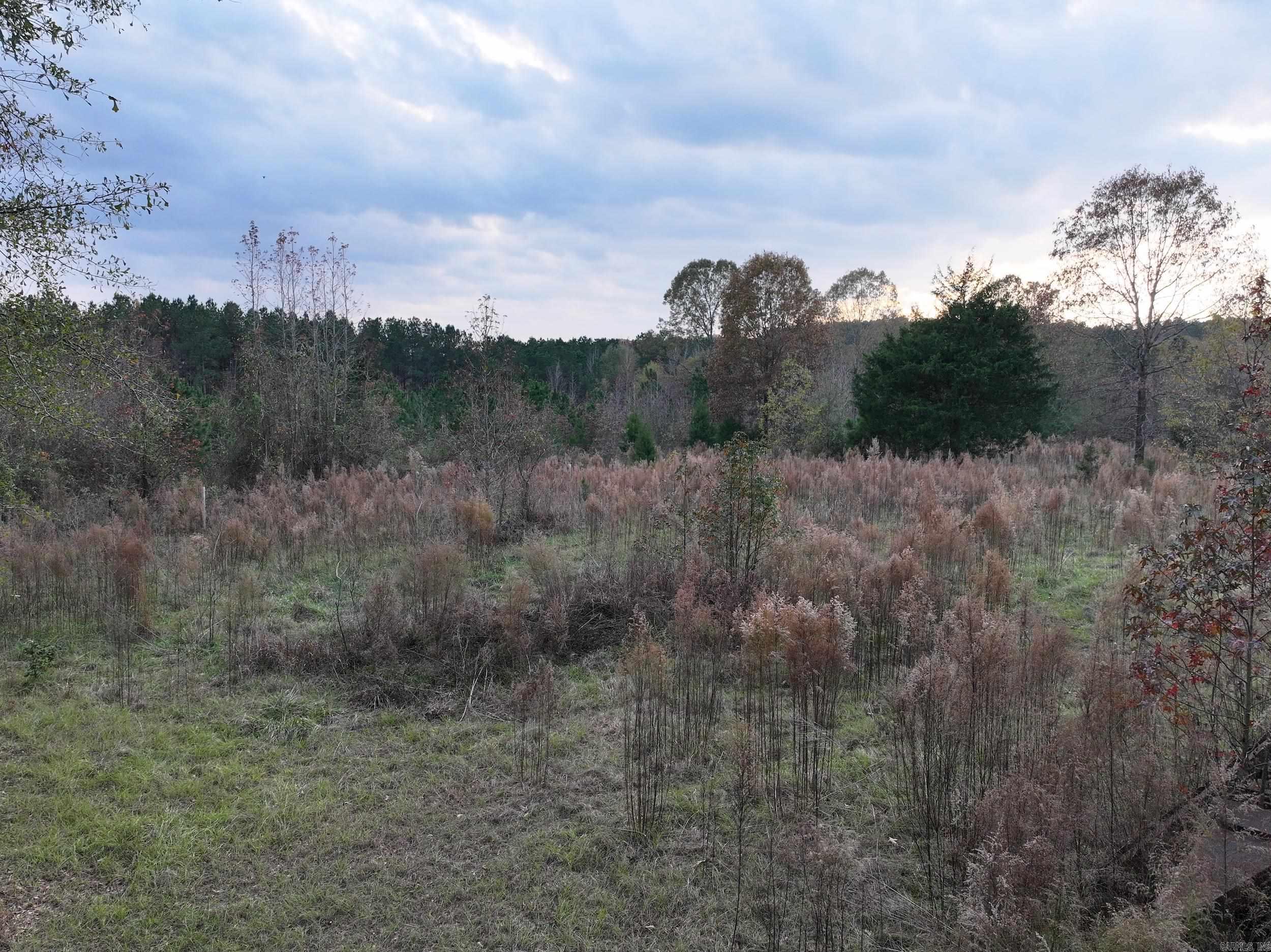 718  Southfork  Gurdon, AR