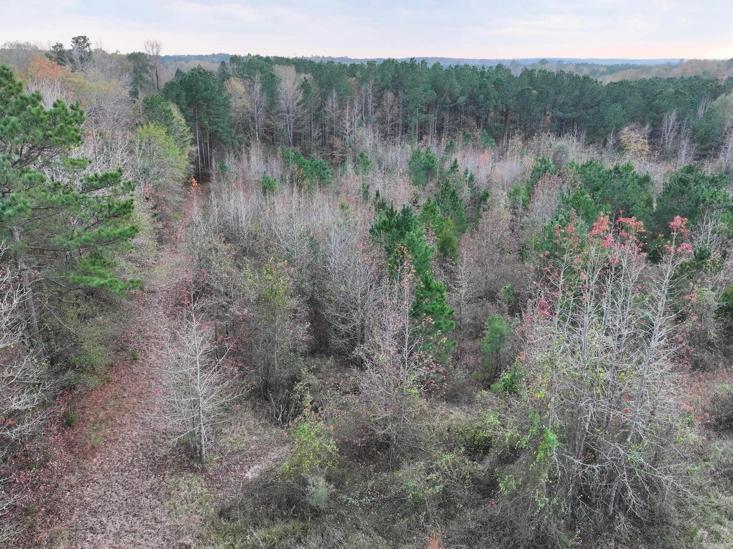 718  Southfork  Gurdon, AR