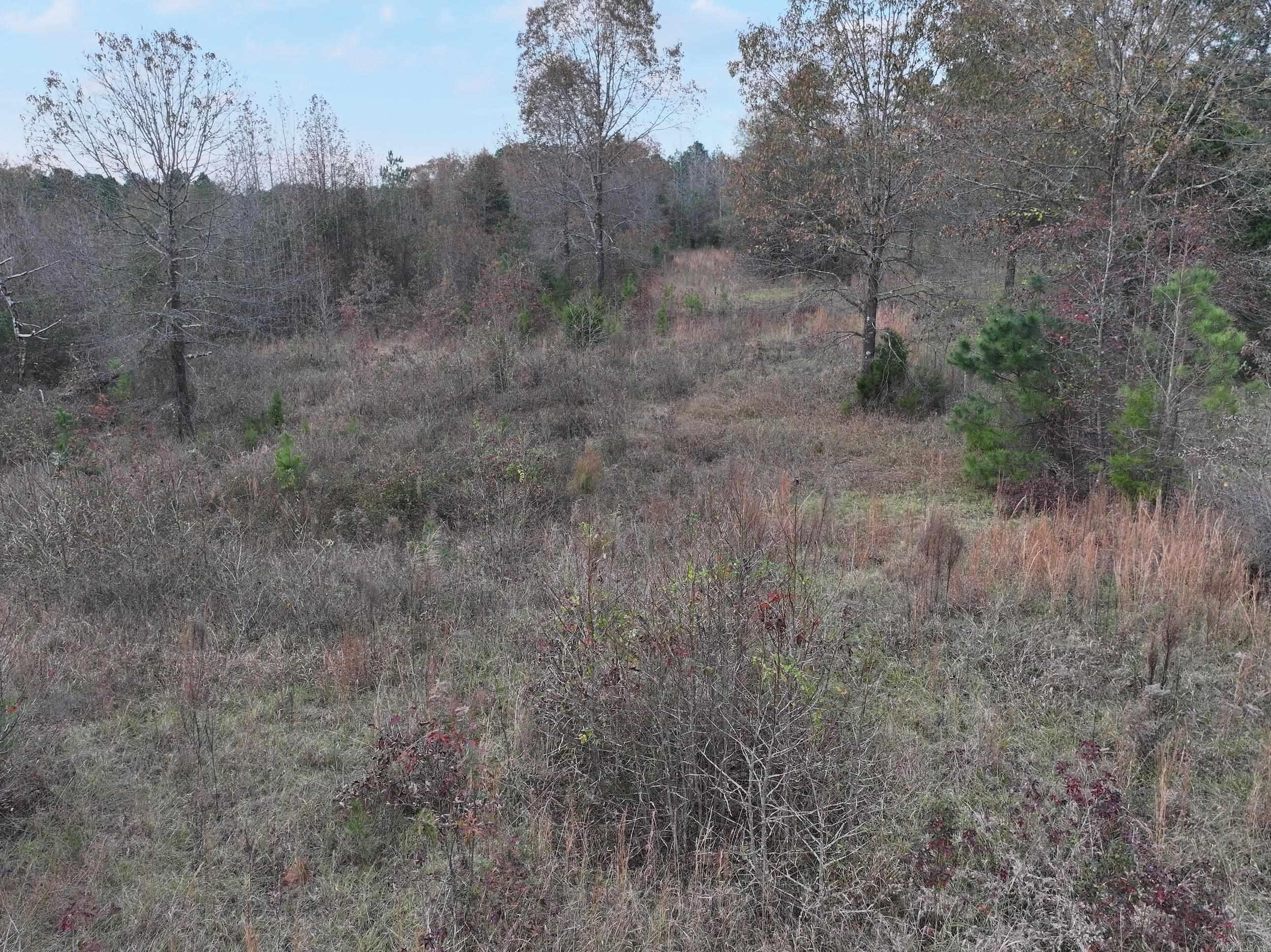 718  Southfork  Gurdon, AR