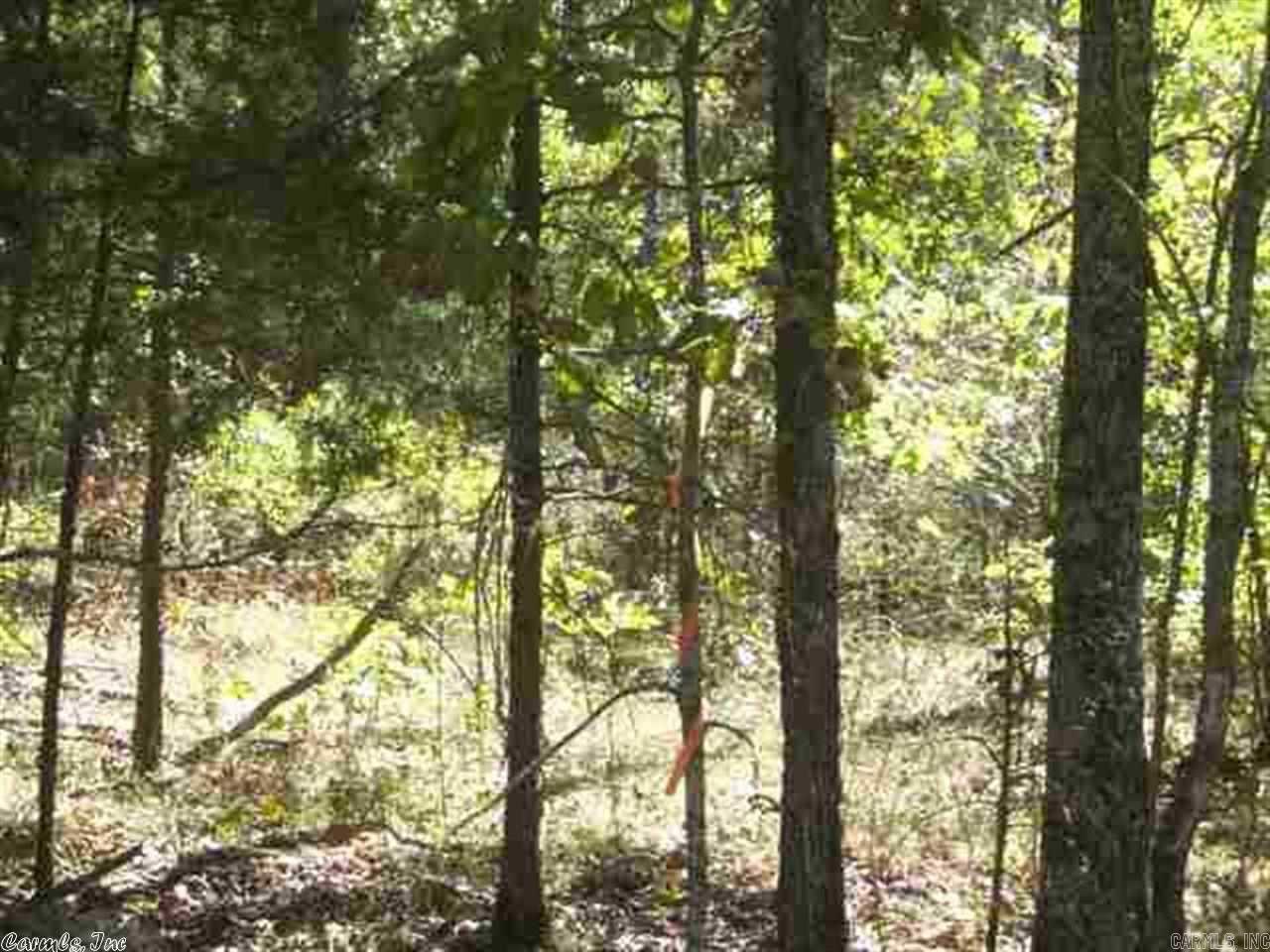 00 Easy Street Drasco, AR 72530