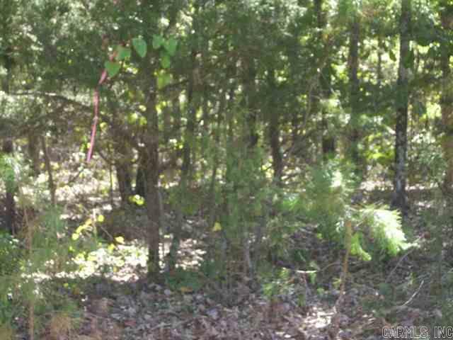 00 Easy Street Drasco, AR 72530