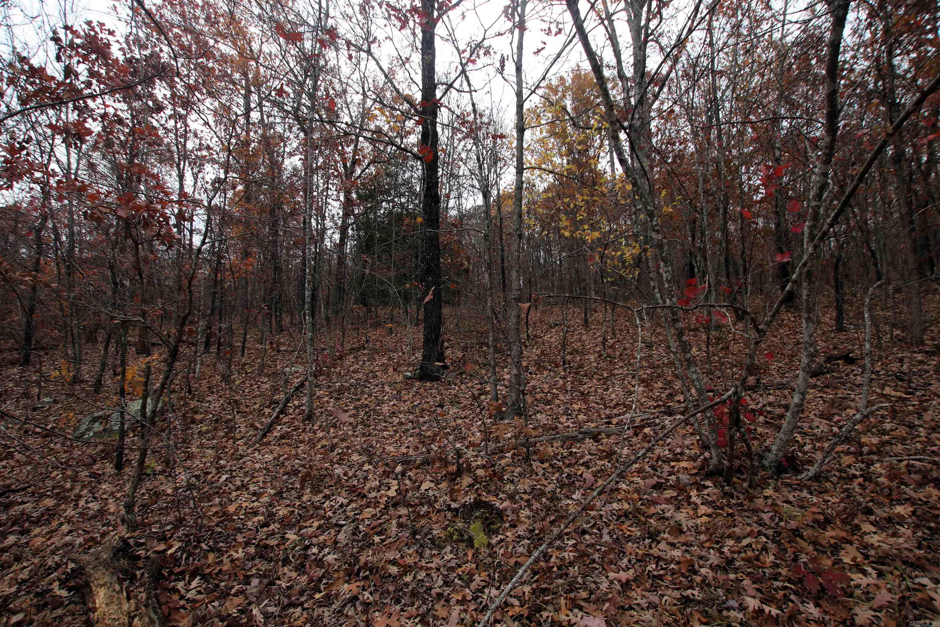 000  65  Clinton, AR