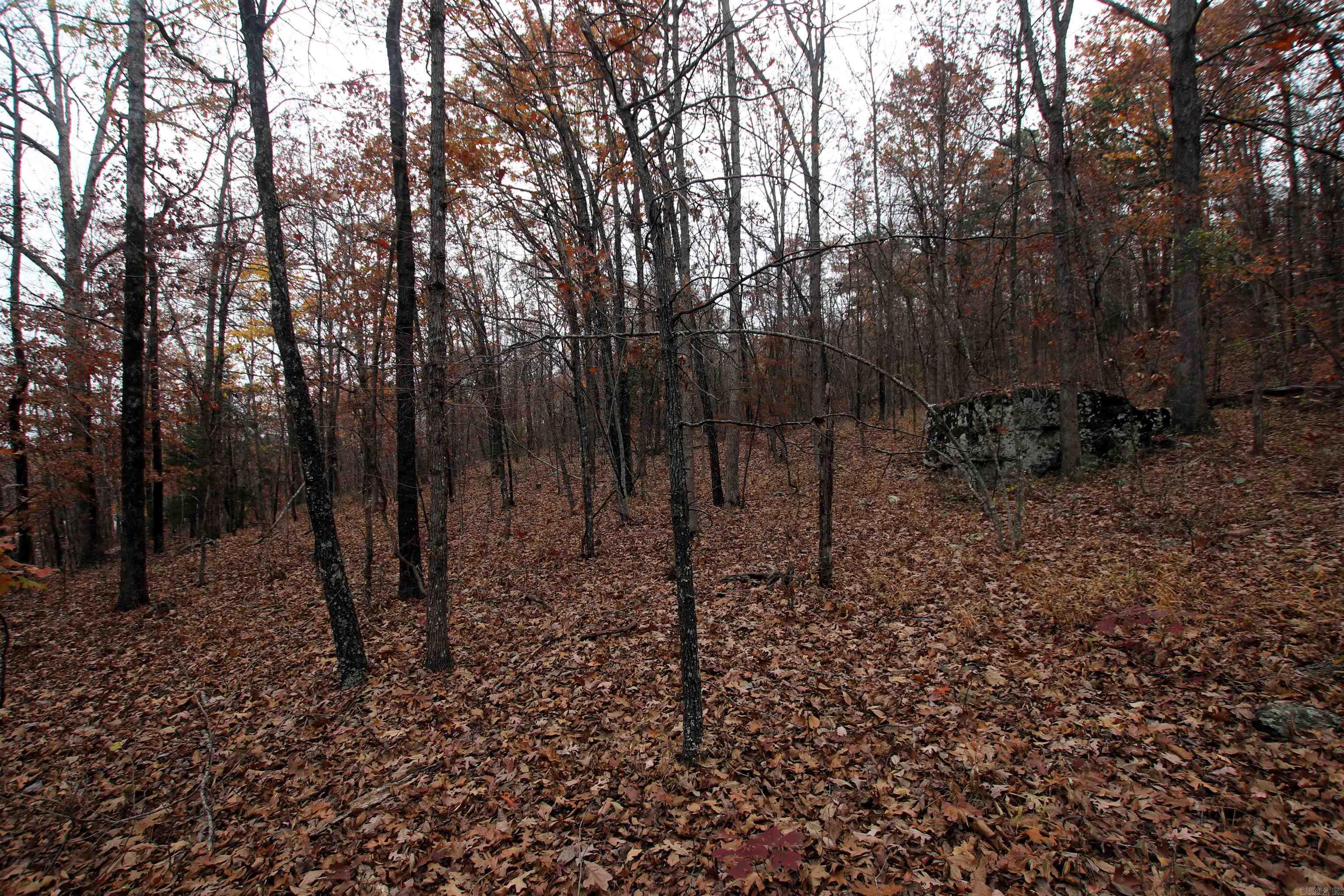000  65  Clinton, AR