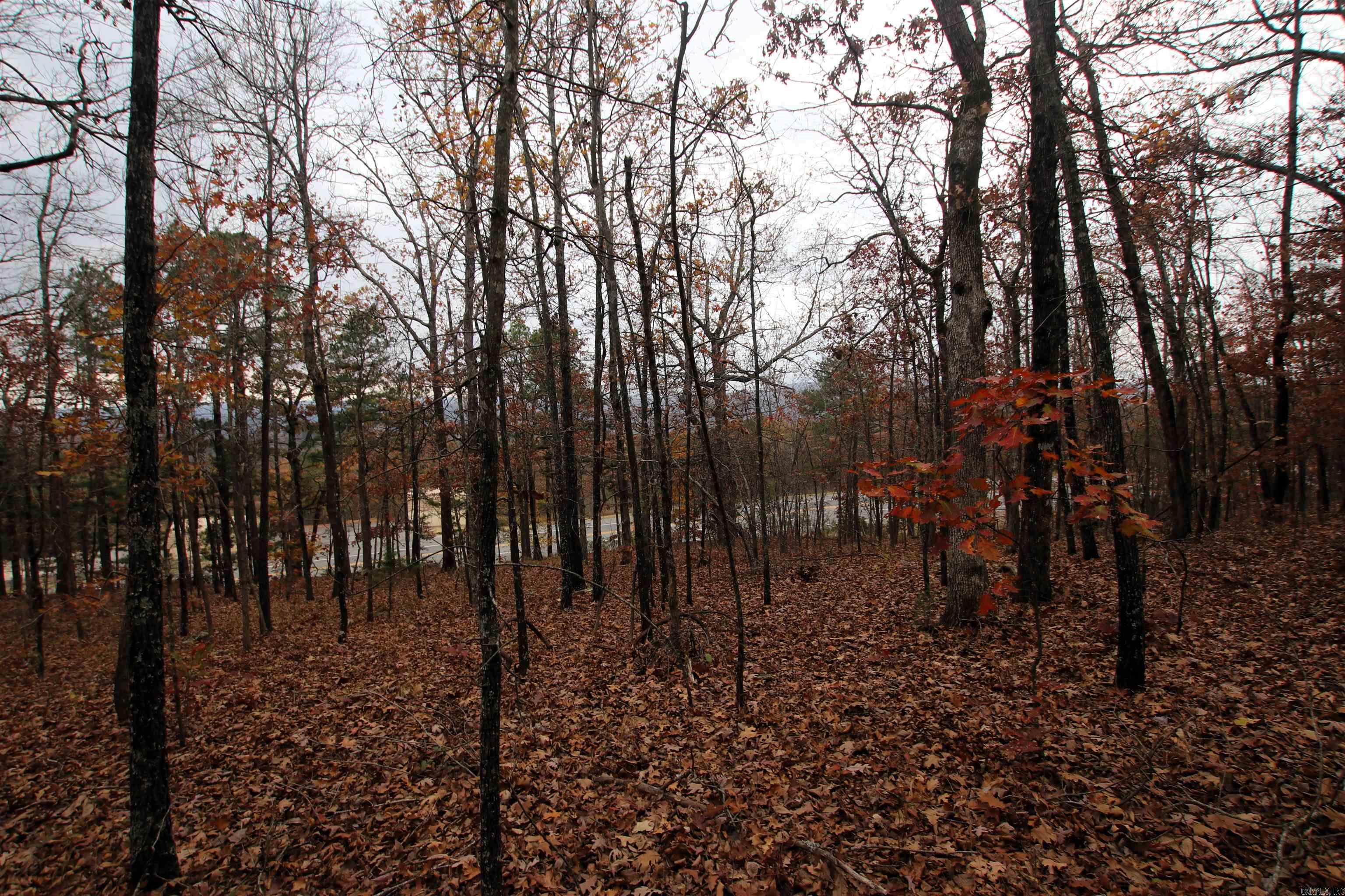 000  65  Clinton, AR