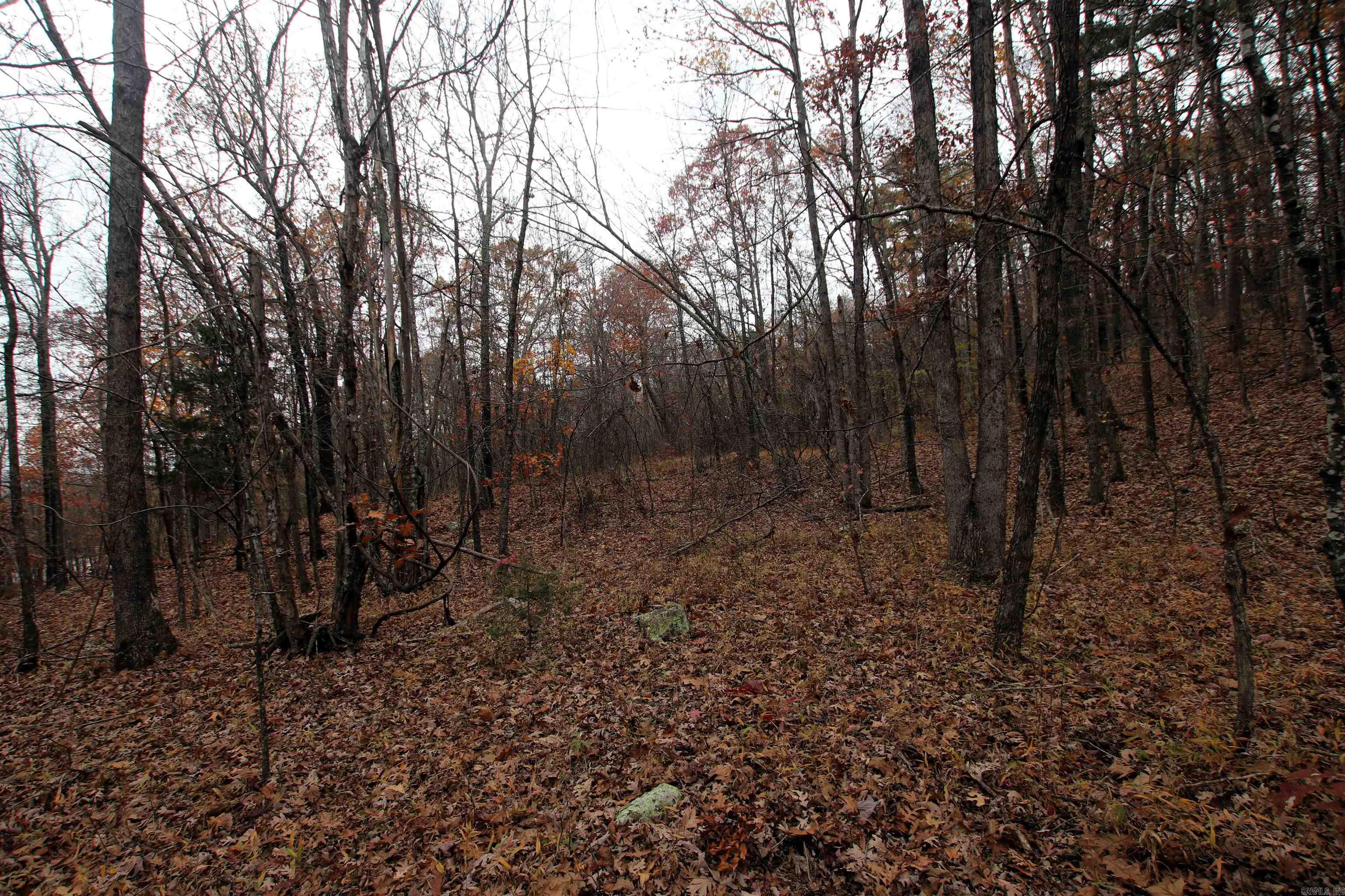 000  65  Clinton, AR