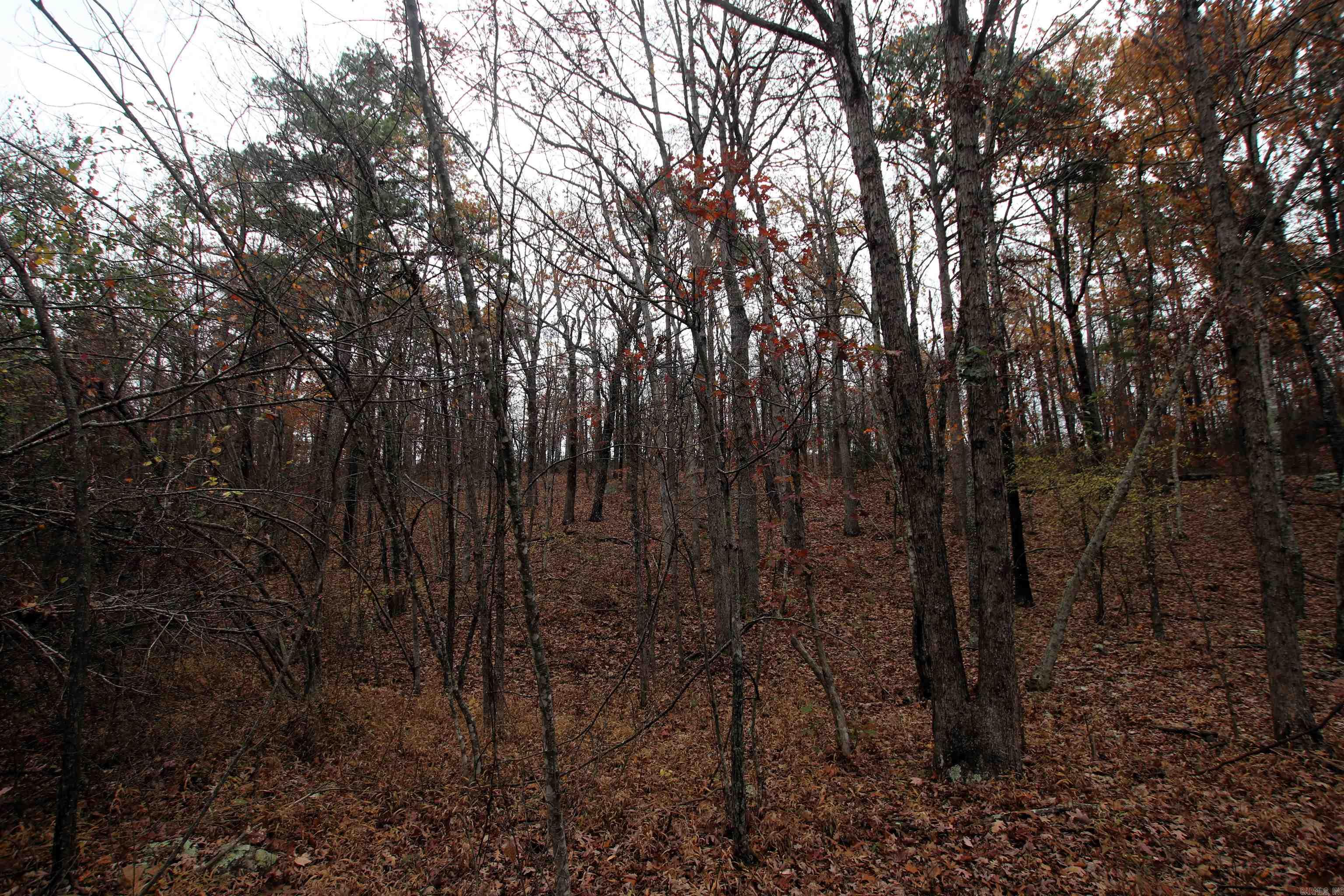 000  65  Clinton, AR