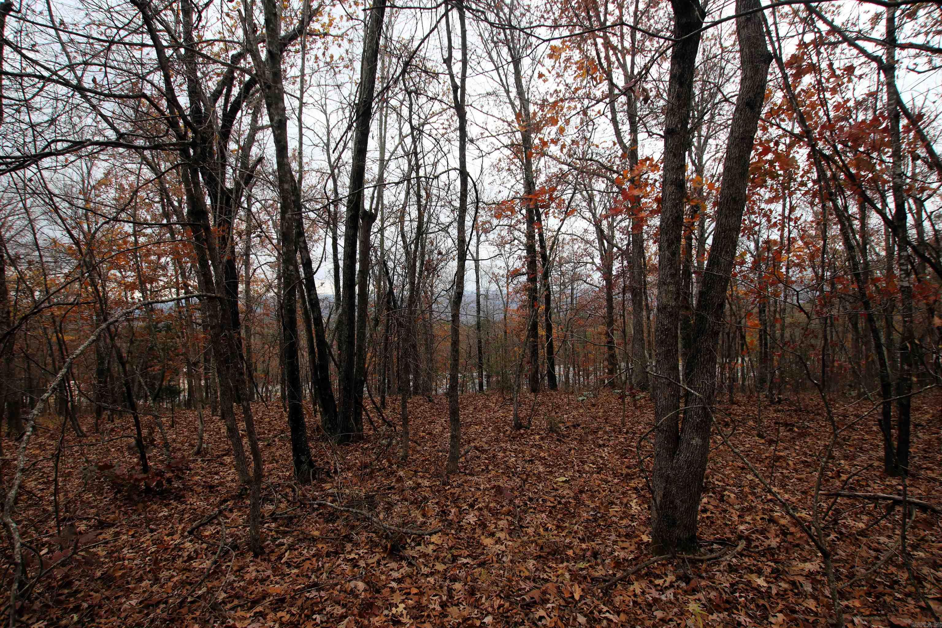 000  65  Clinton, AR