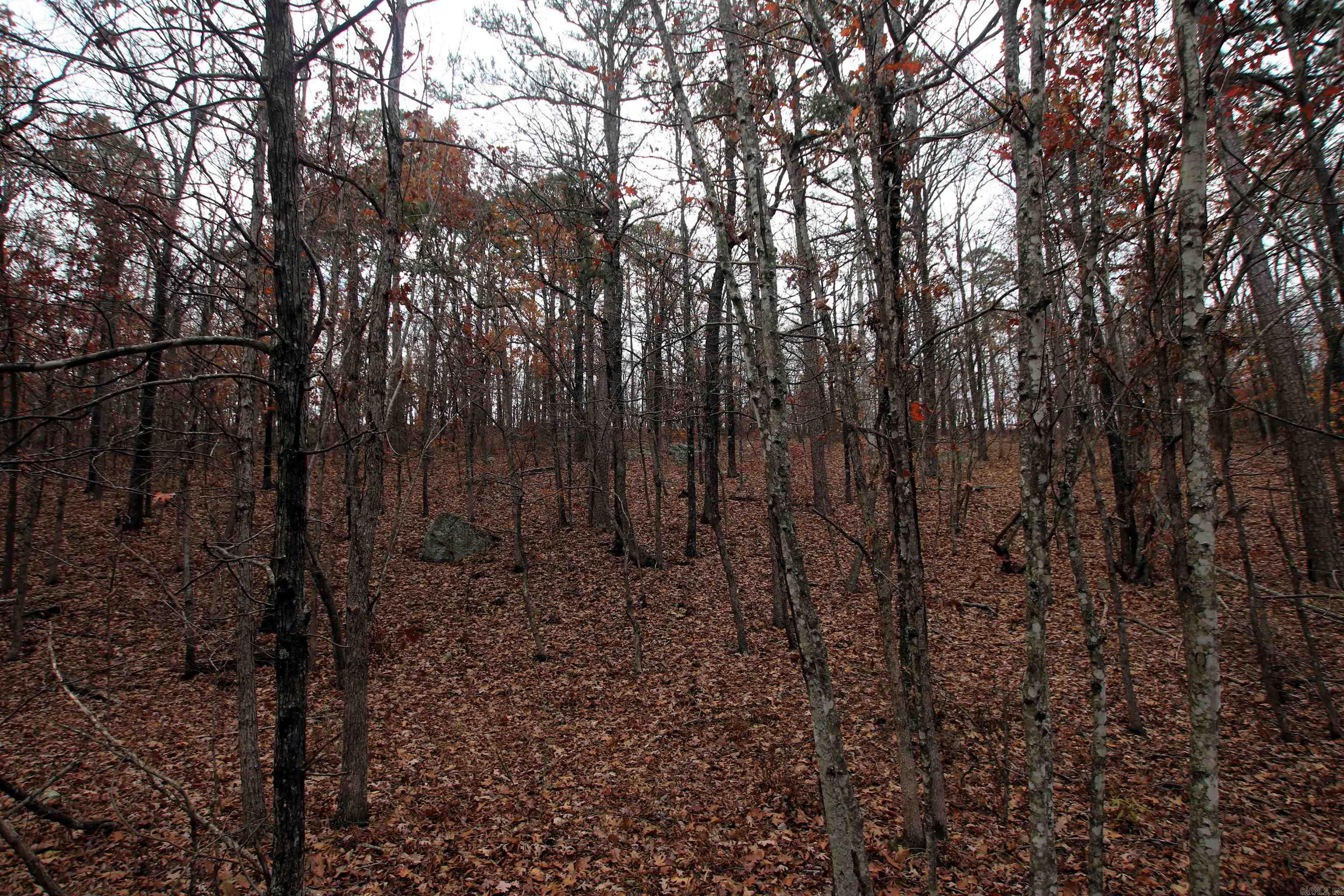 000  65  Clinton, AR