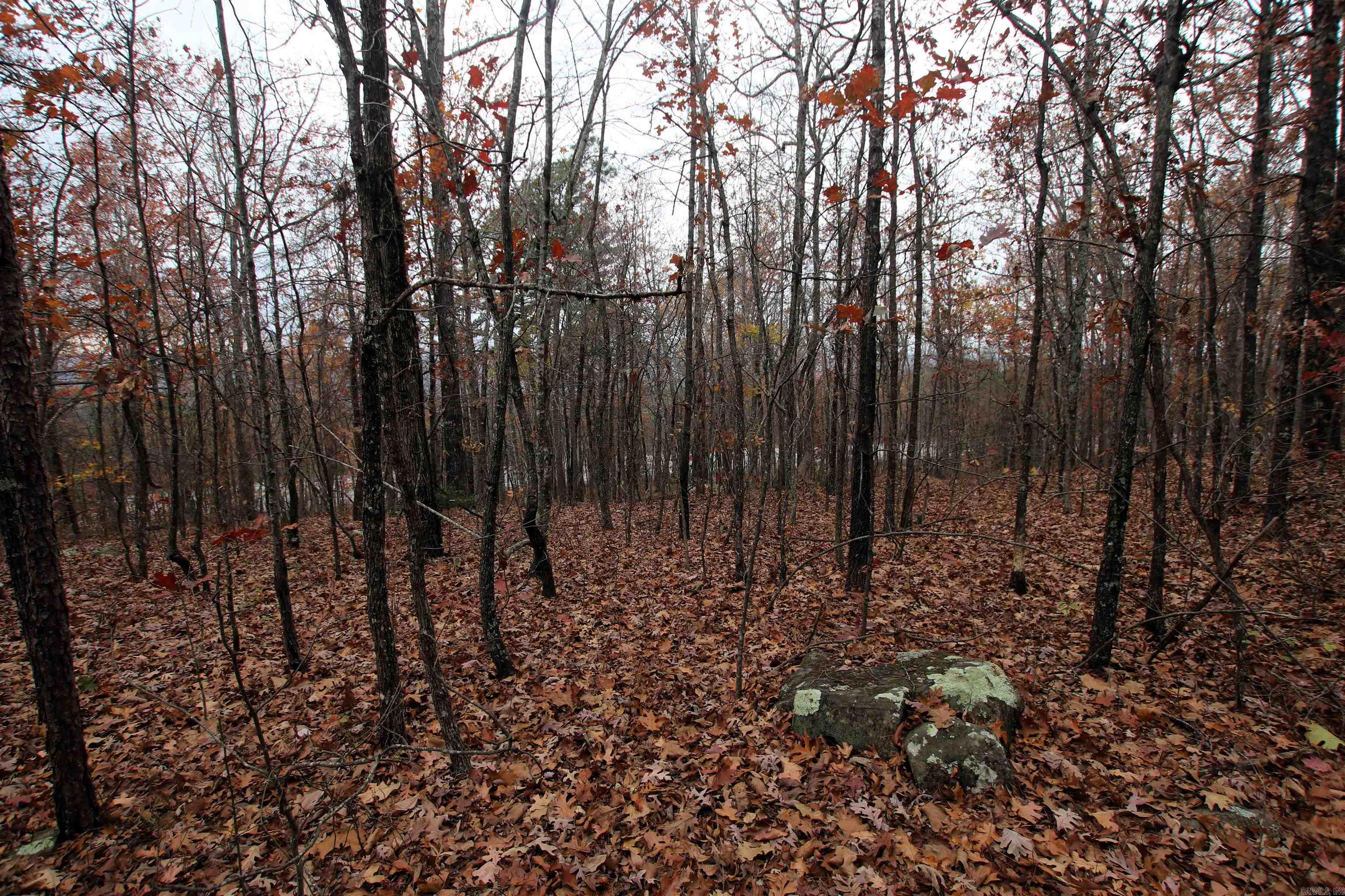 000  65  Clinton, AR