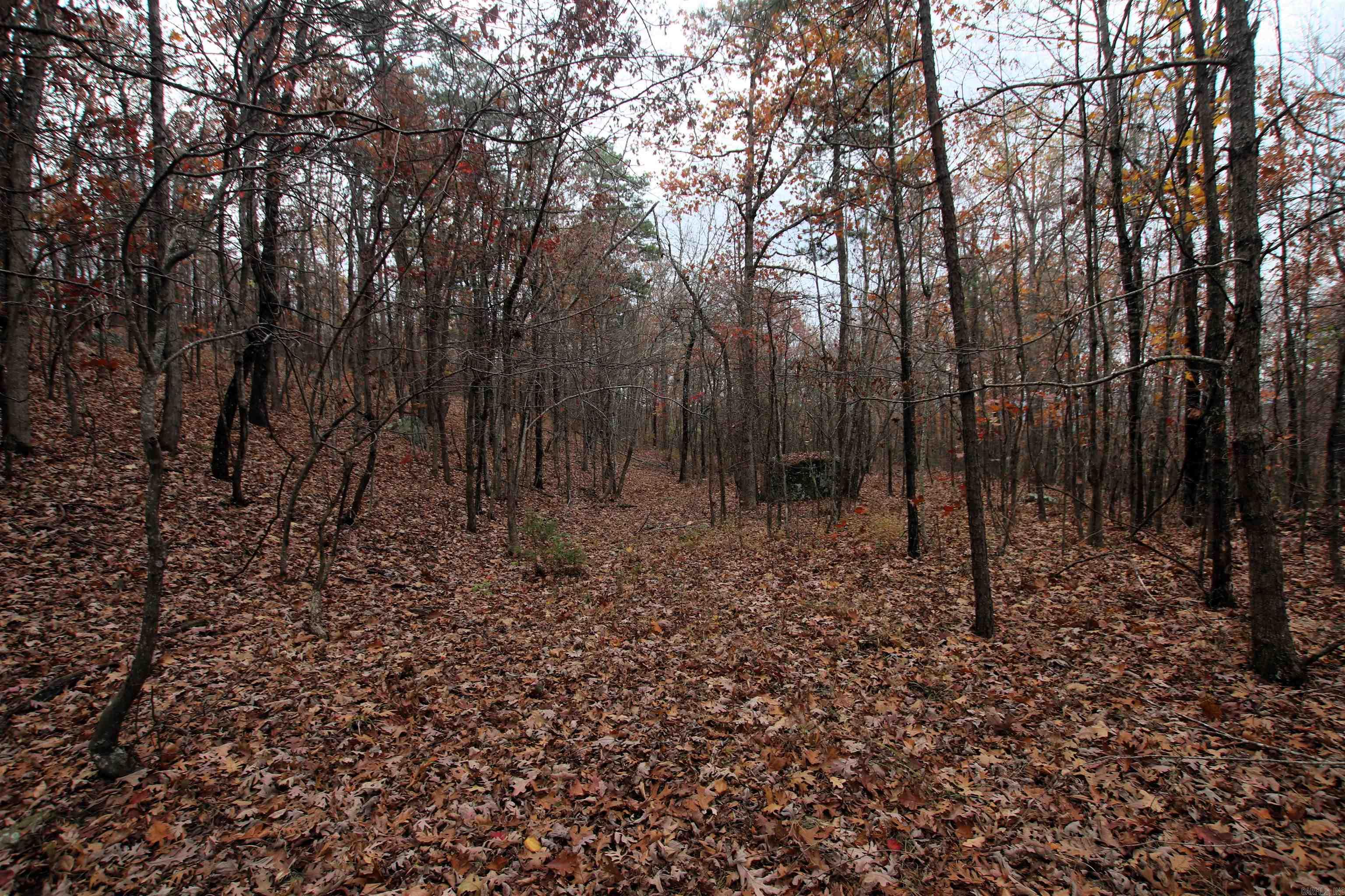 000  65  Clinton, AR