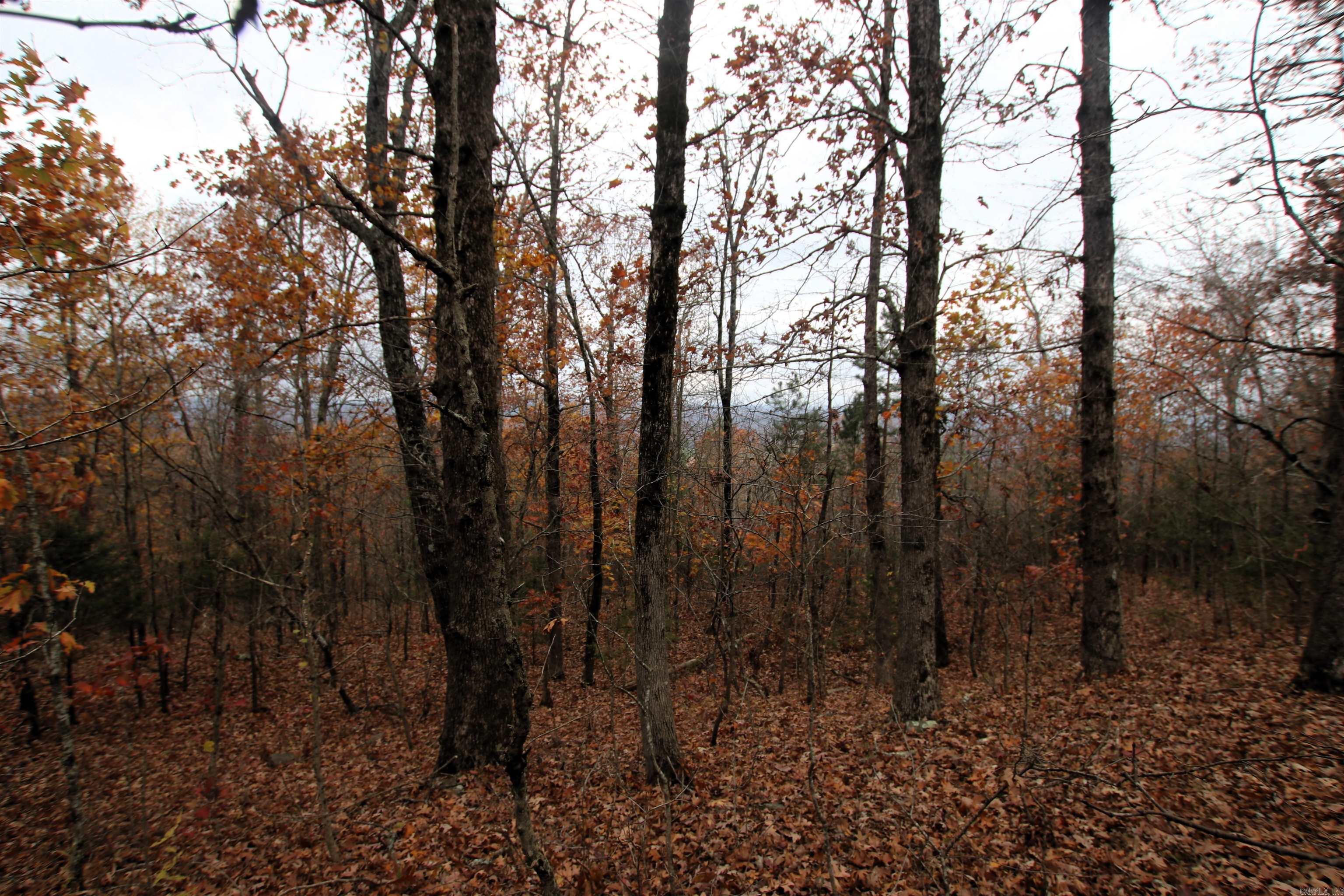 000  65  Clinton, AR