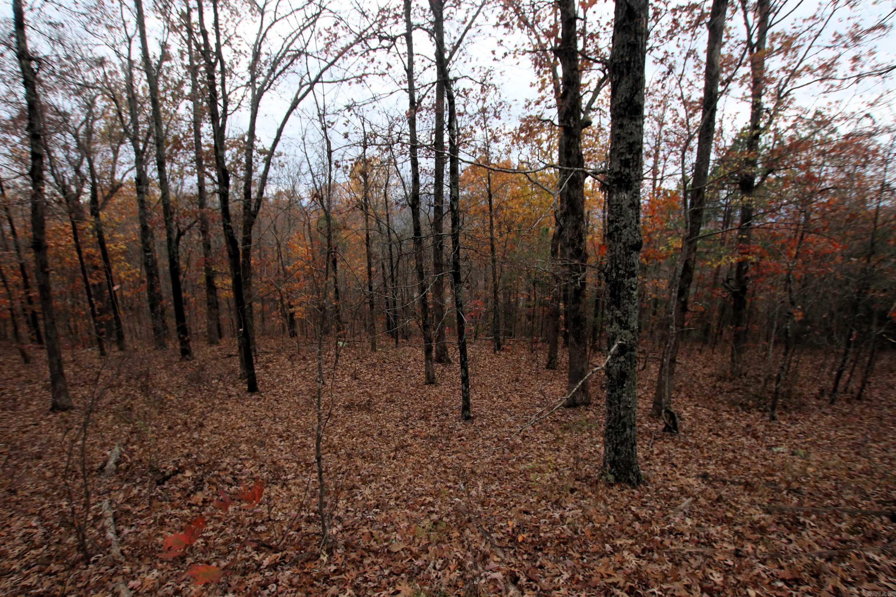 000  65  Clinton, AR