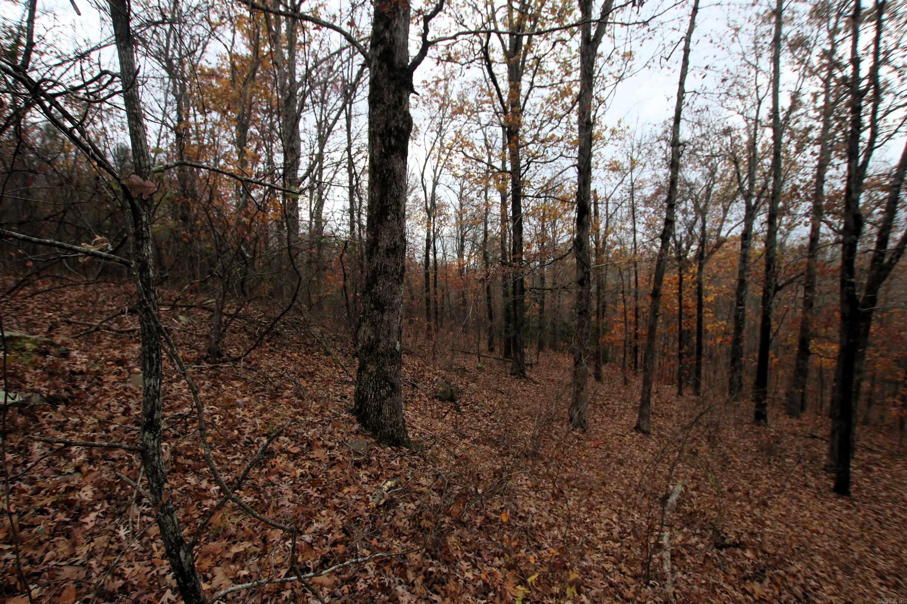 000  65  Clinton, AR