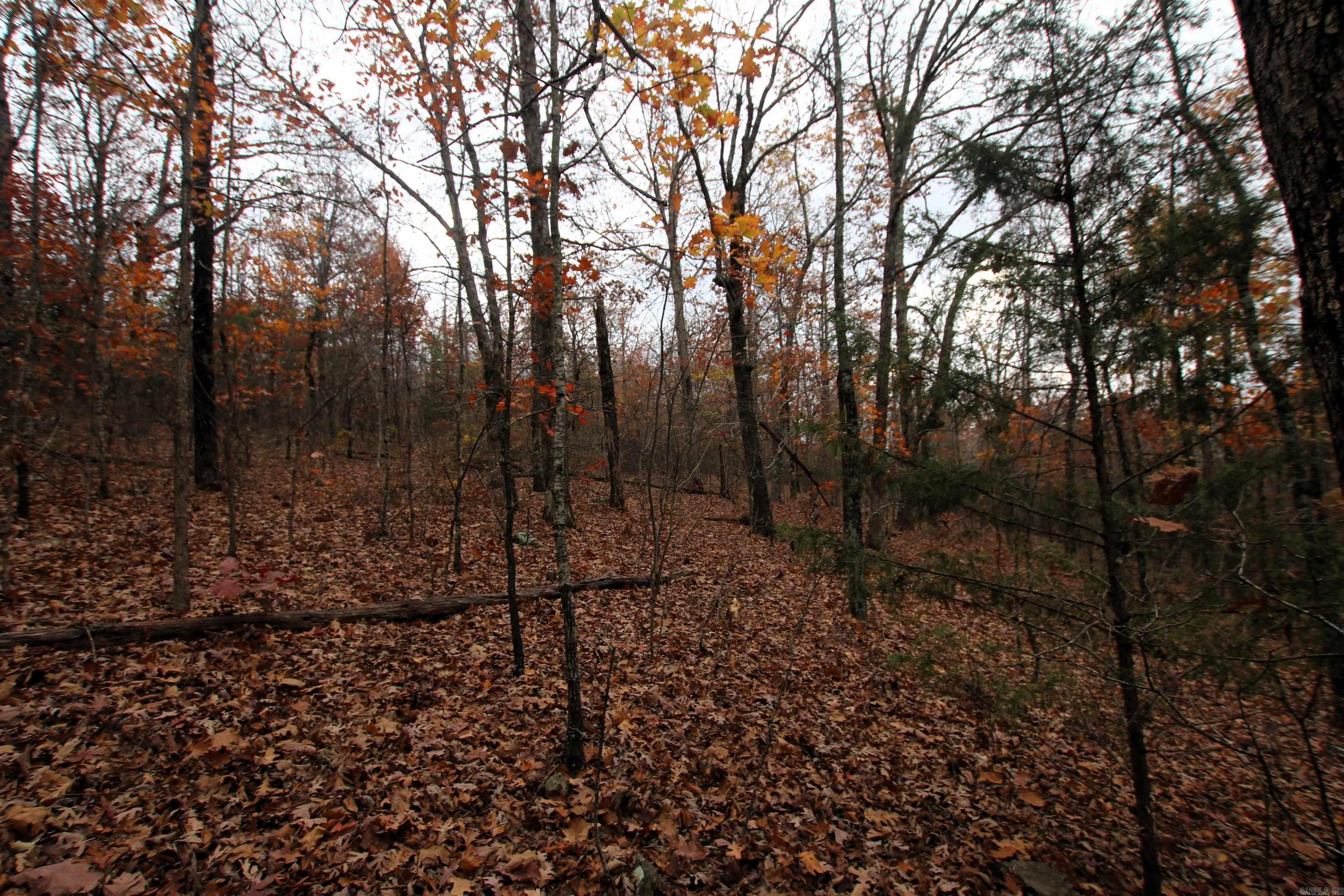 000  65  Clinton, AR