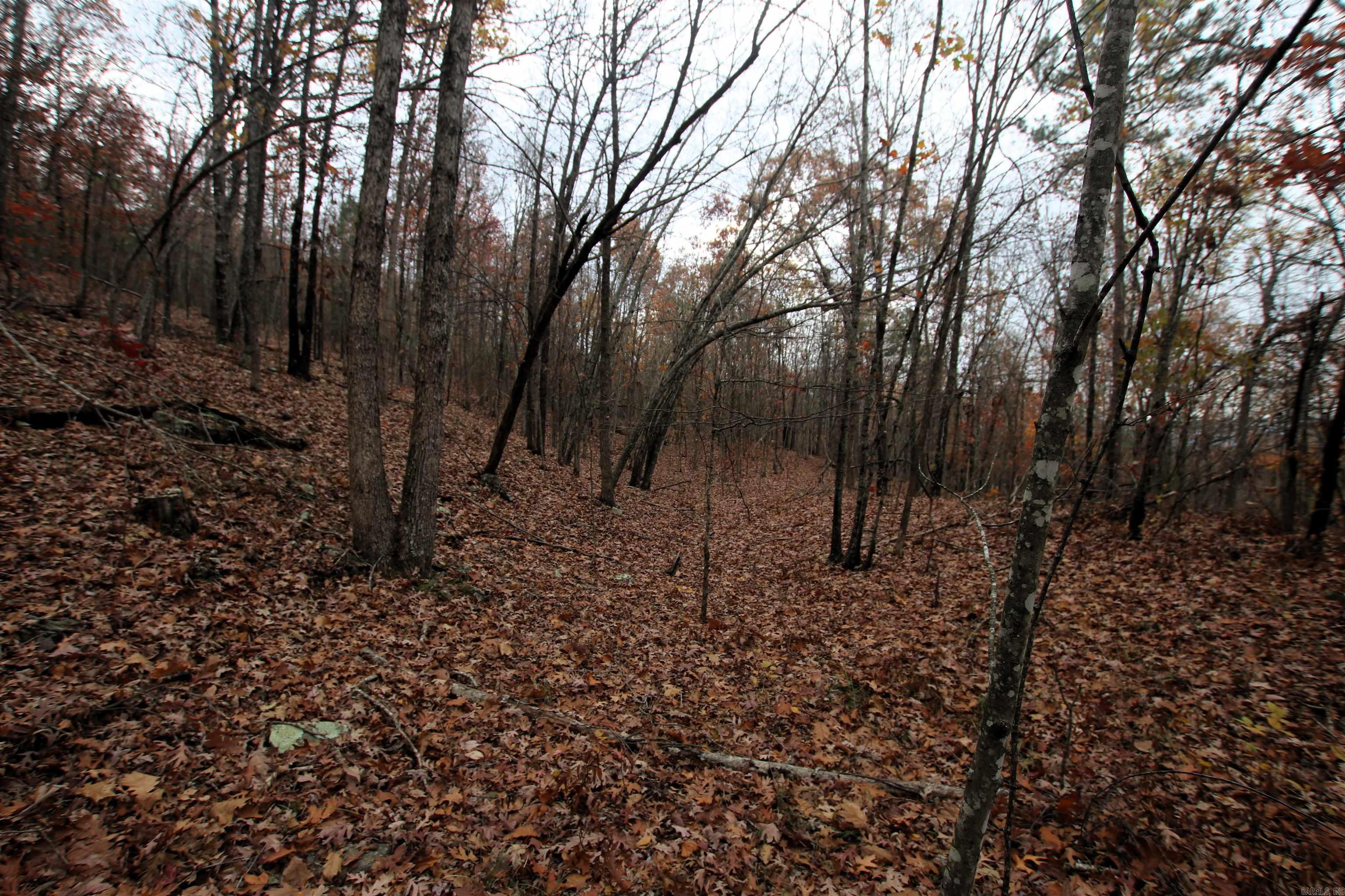000  65  Clinton, AR