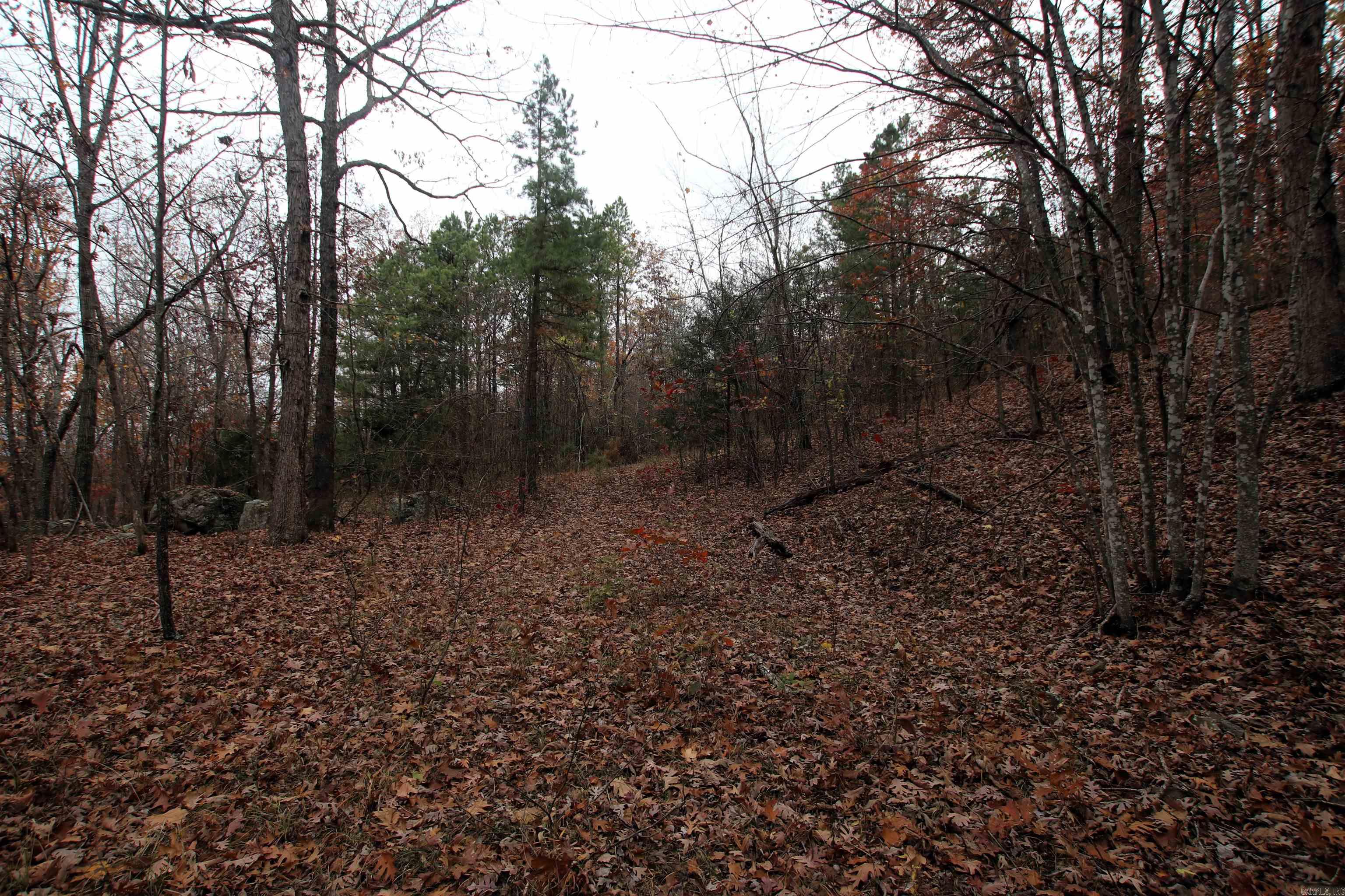 000  65  Clinton, AR