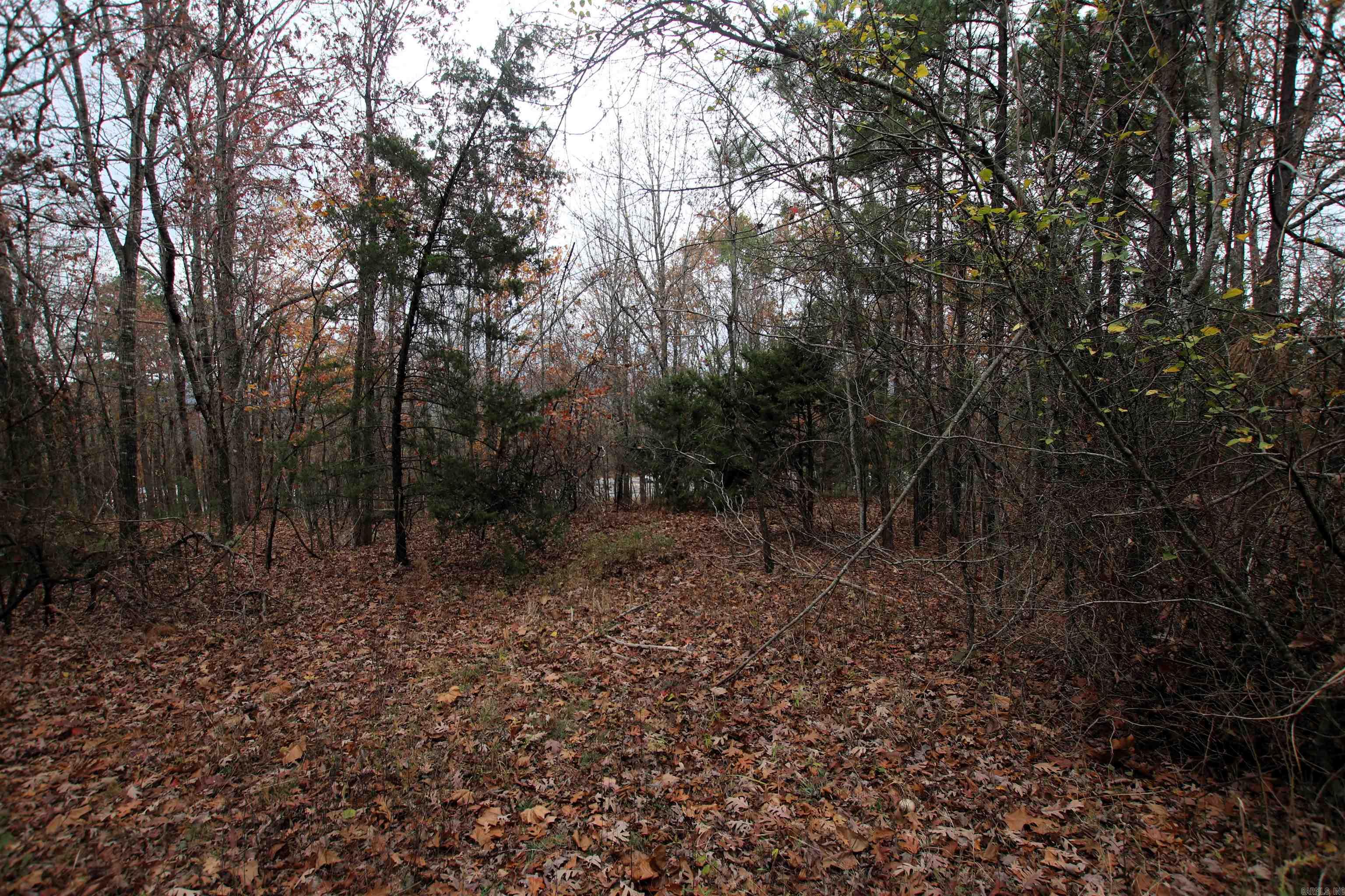 000  65  Clinton, AR