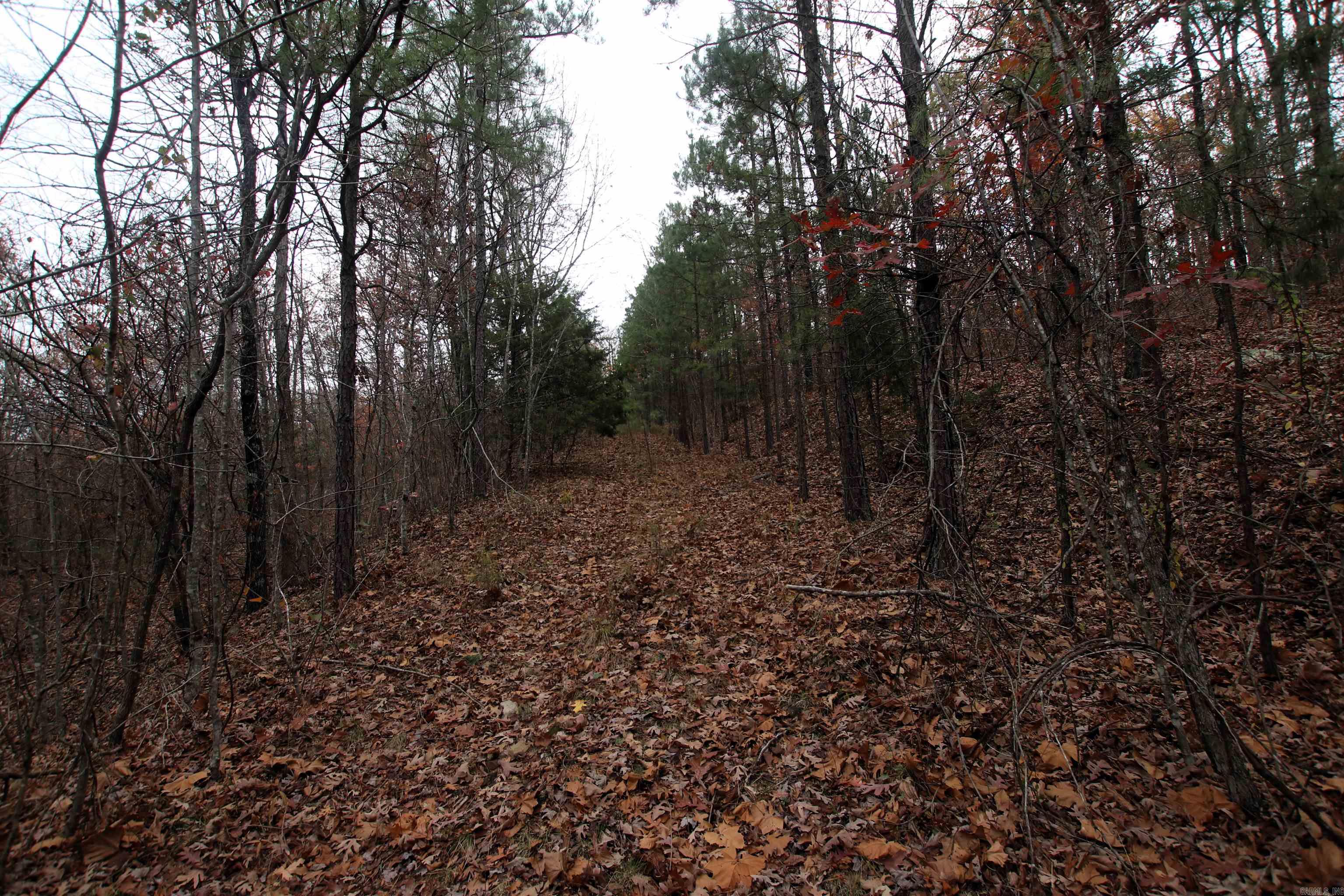 000  65  Clinton, AR