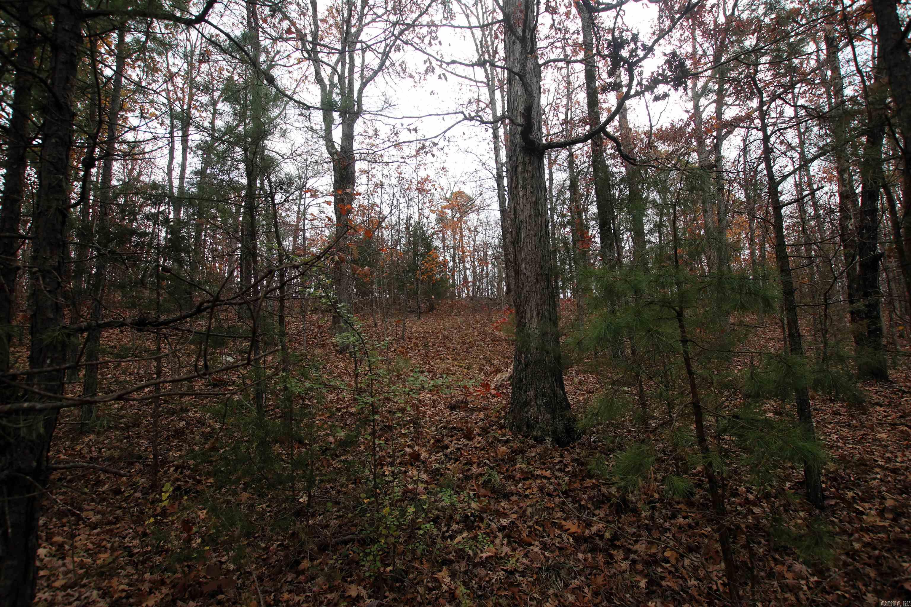 000  65  Clinton, AR