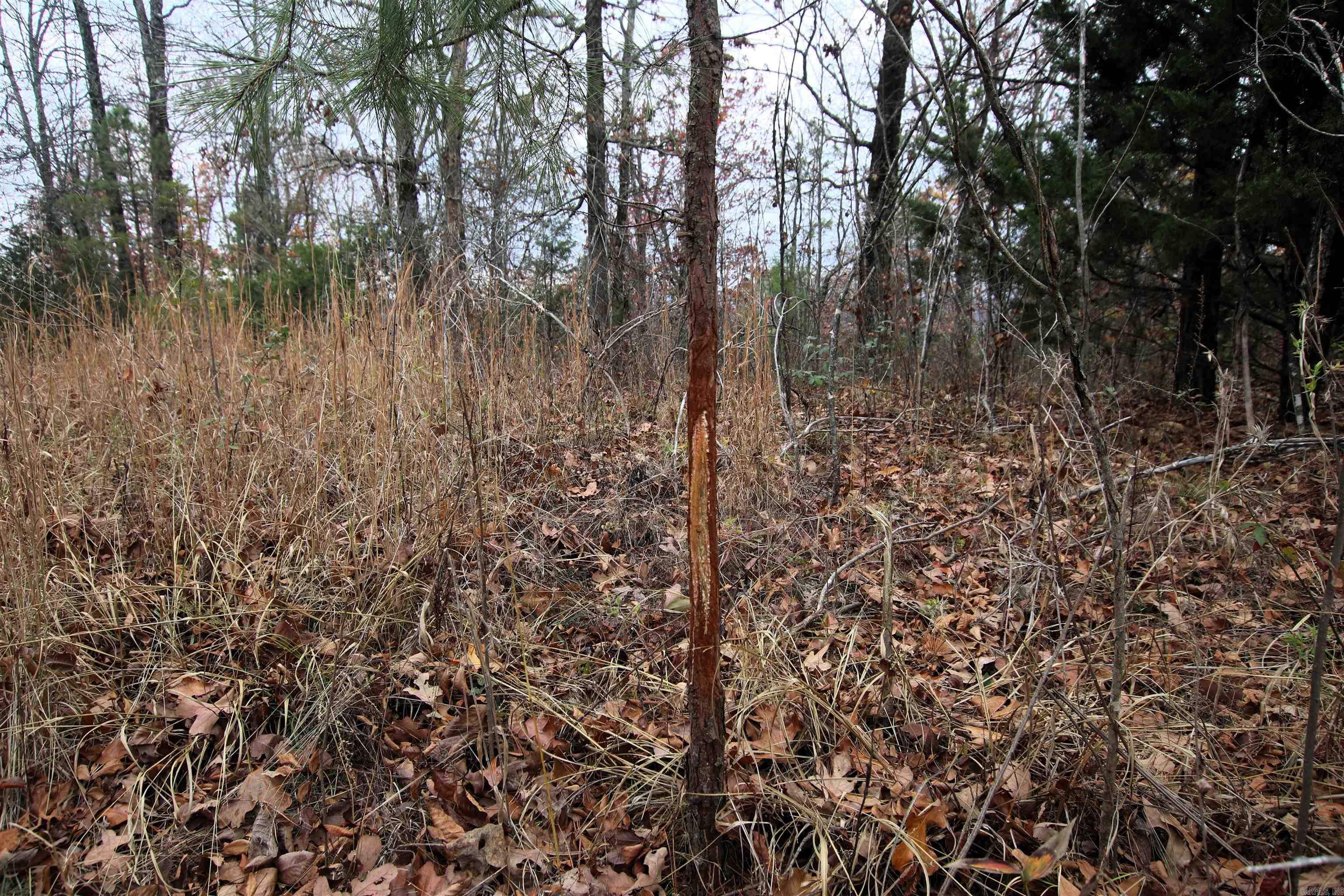 000  65  Clinton, AR
